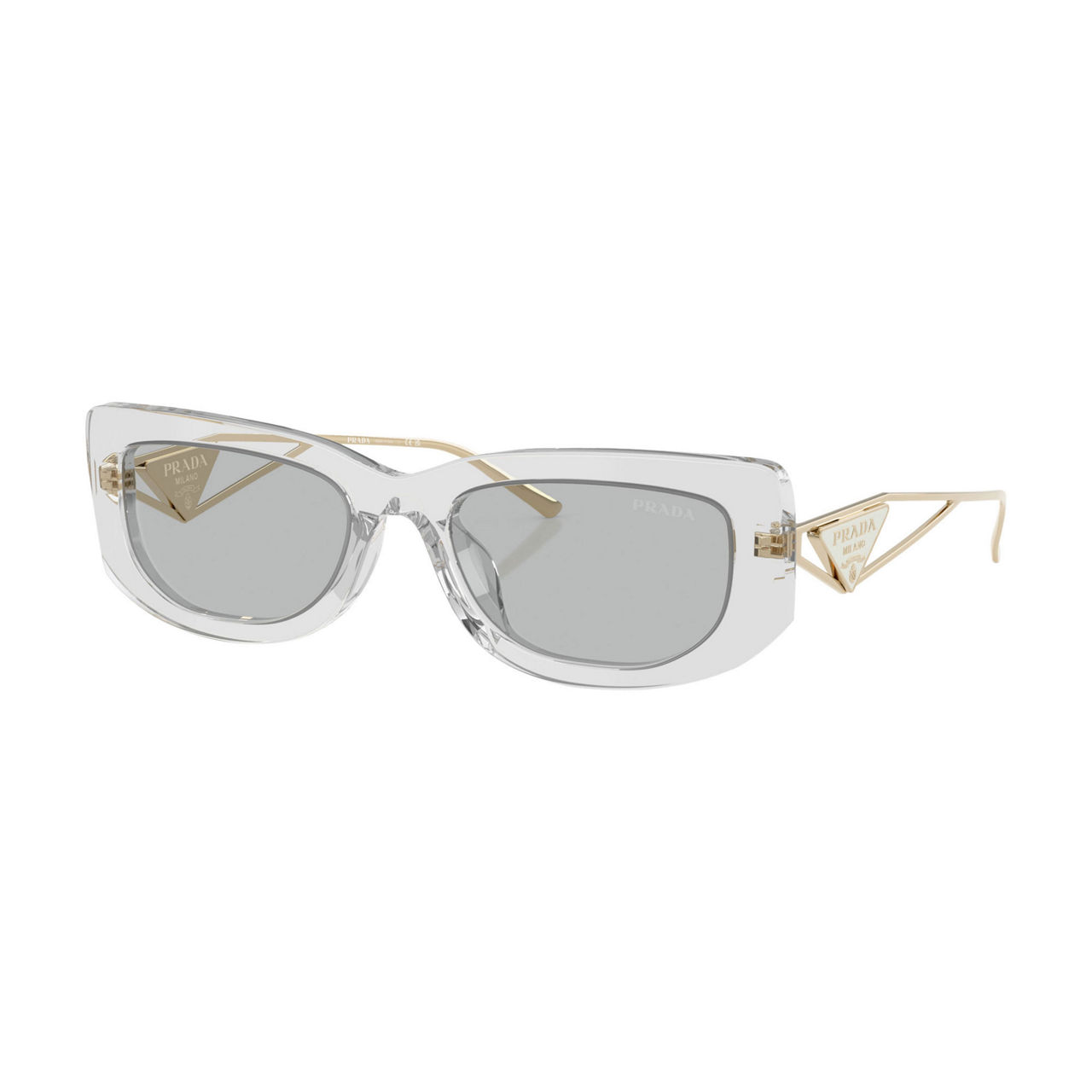 Rectangle Sunglasses PR 14YS