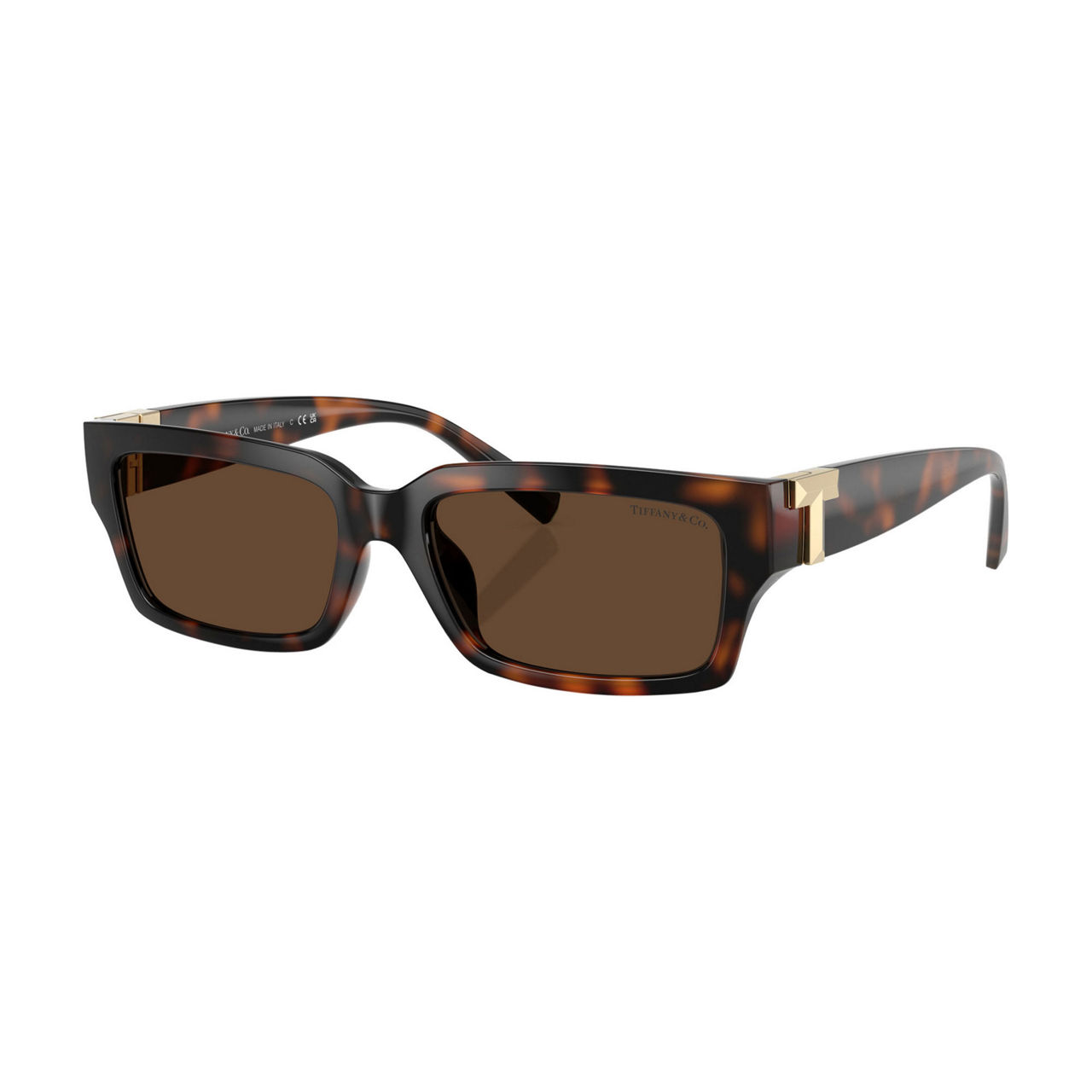 Rectangle Sunglasses TF4226U