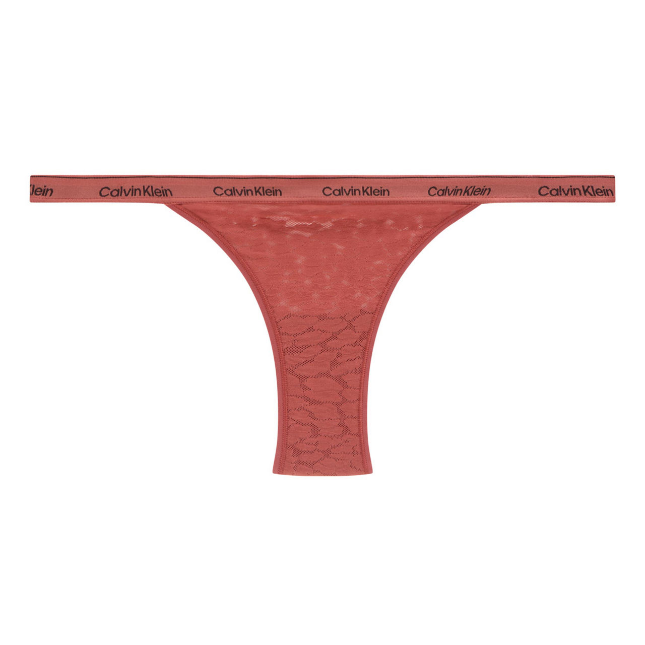 Icon Lace Briefs Icon Lace Briefs