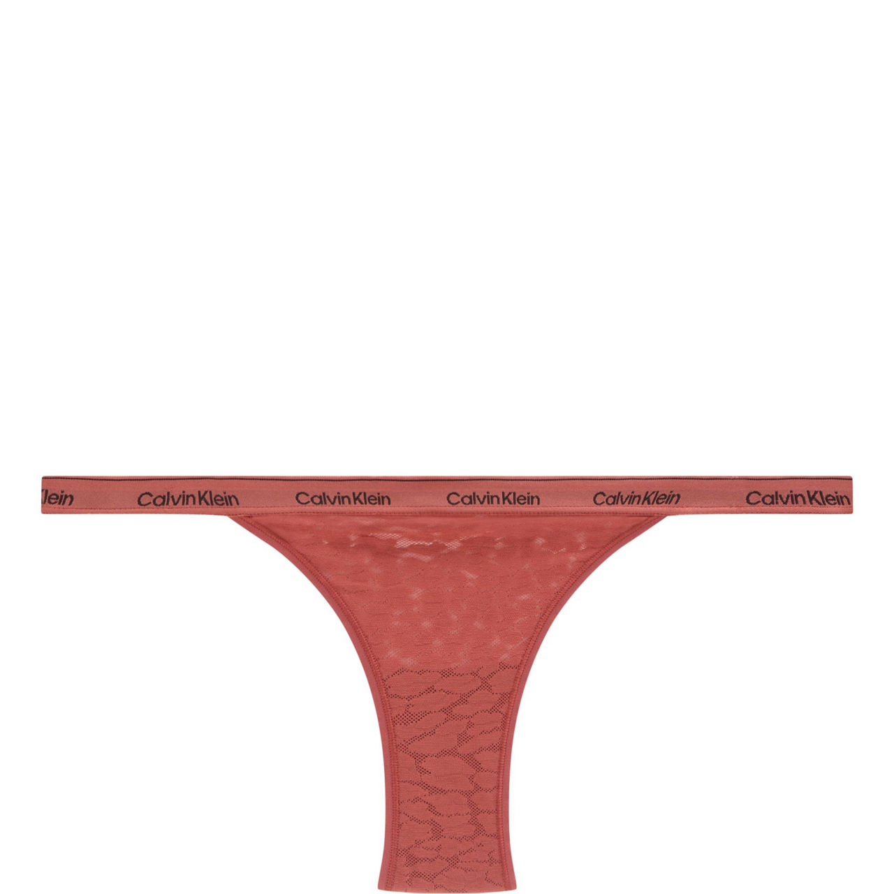 Icon Lace Briefs