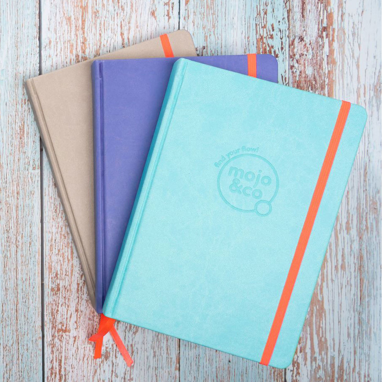 Positivity & Wellness Journal