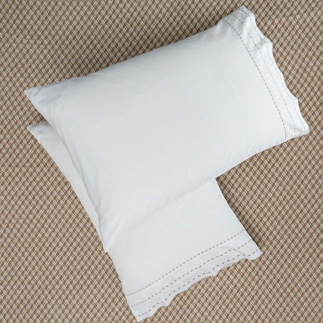 Cheetah Housewife Pillowcase Pair