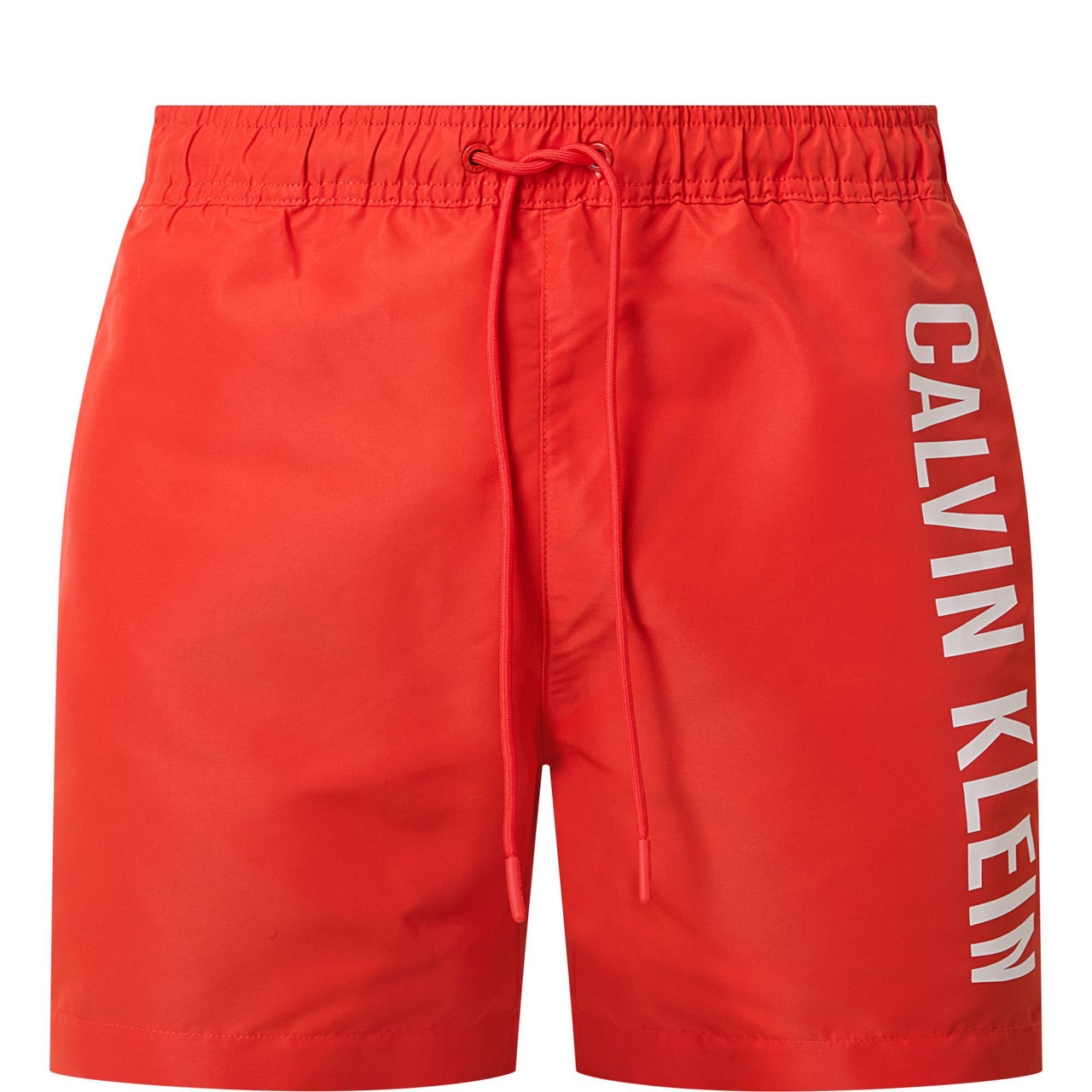 Intense Power Logo Swim Shorts