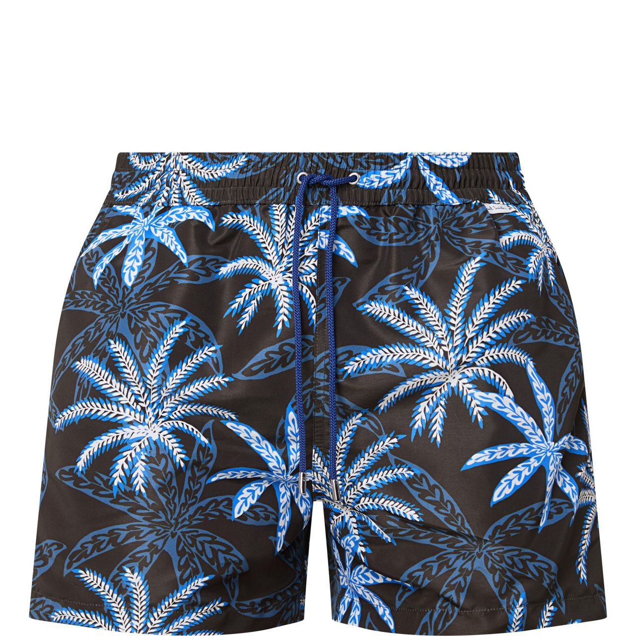 Palms Printed Swim Shorts