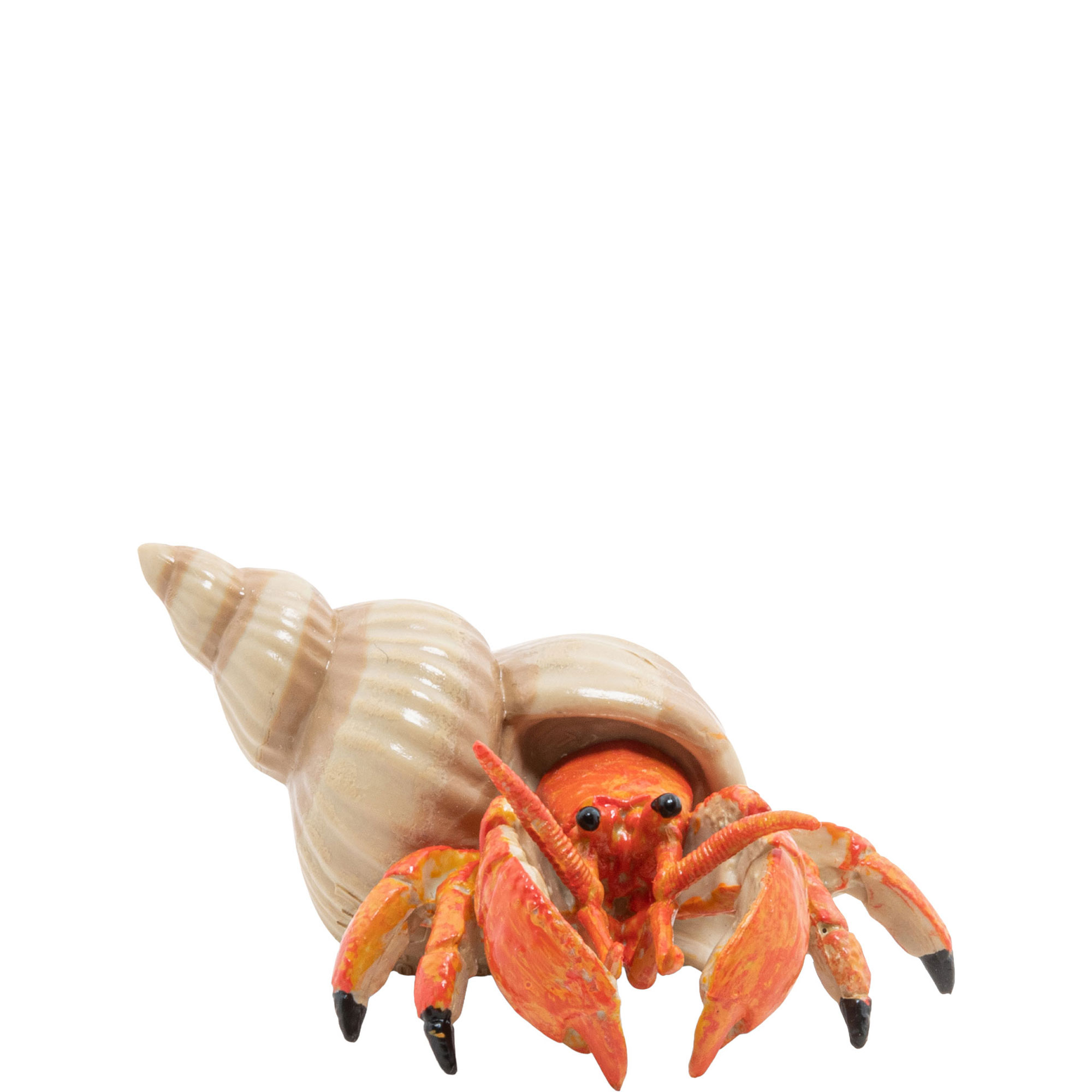 Hermit Crab Figure