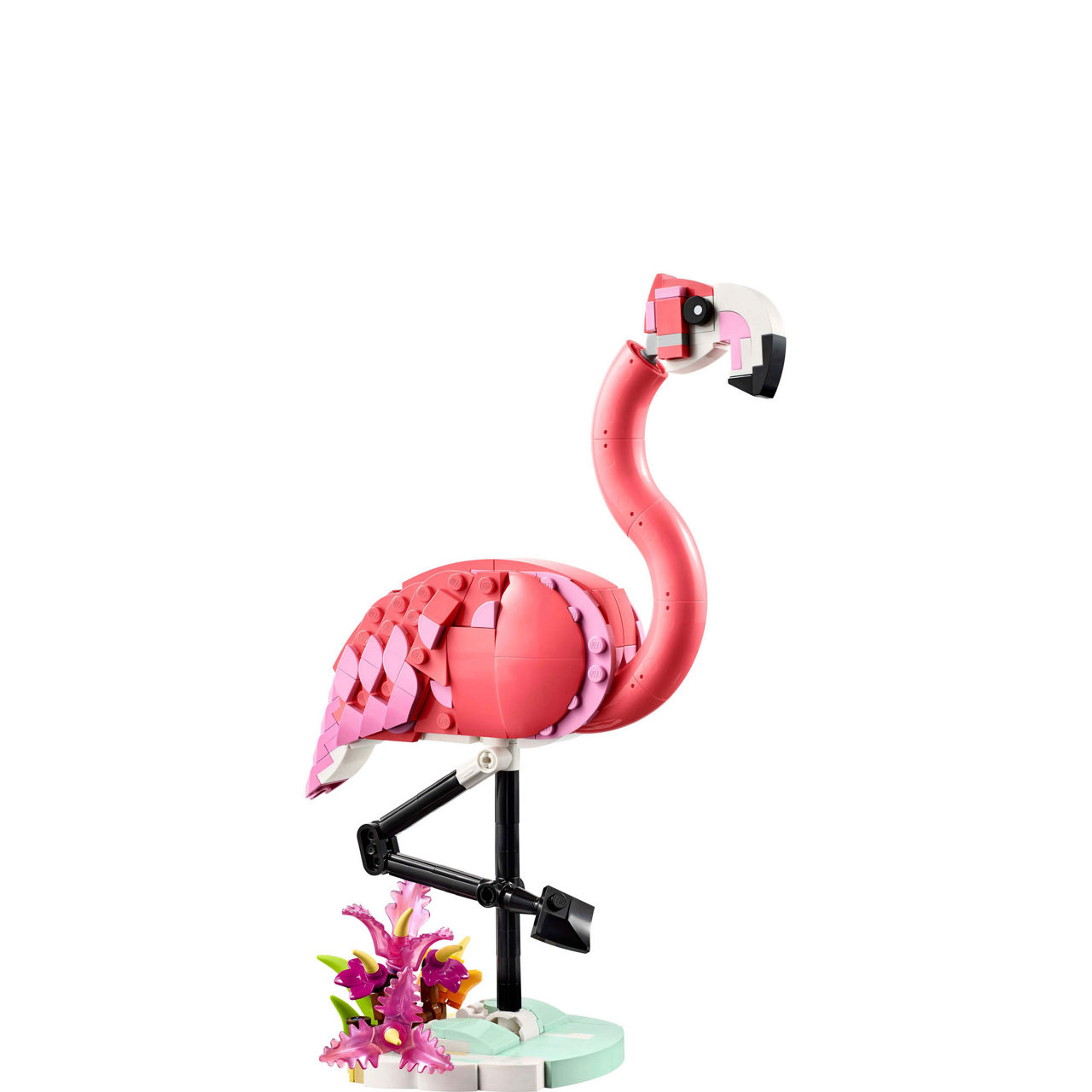 Wild Animals: Pink Flamingo