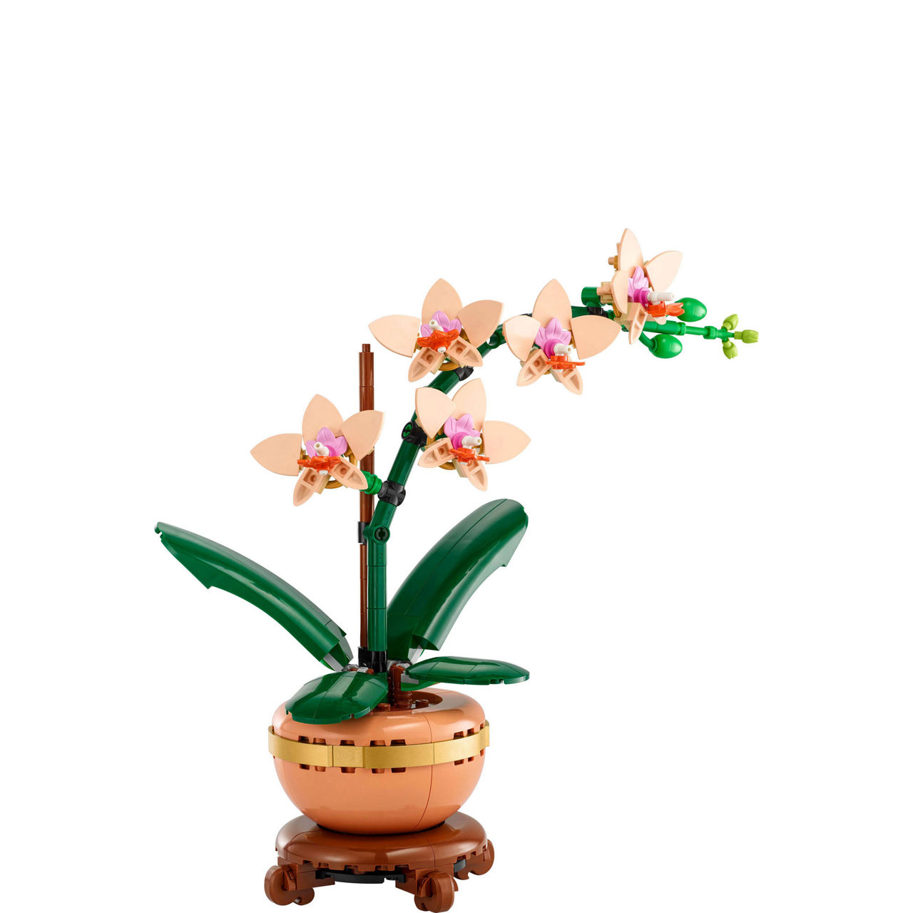 Botanicals Mini Orchid