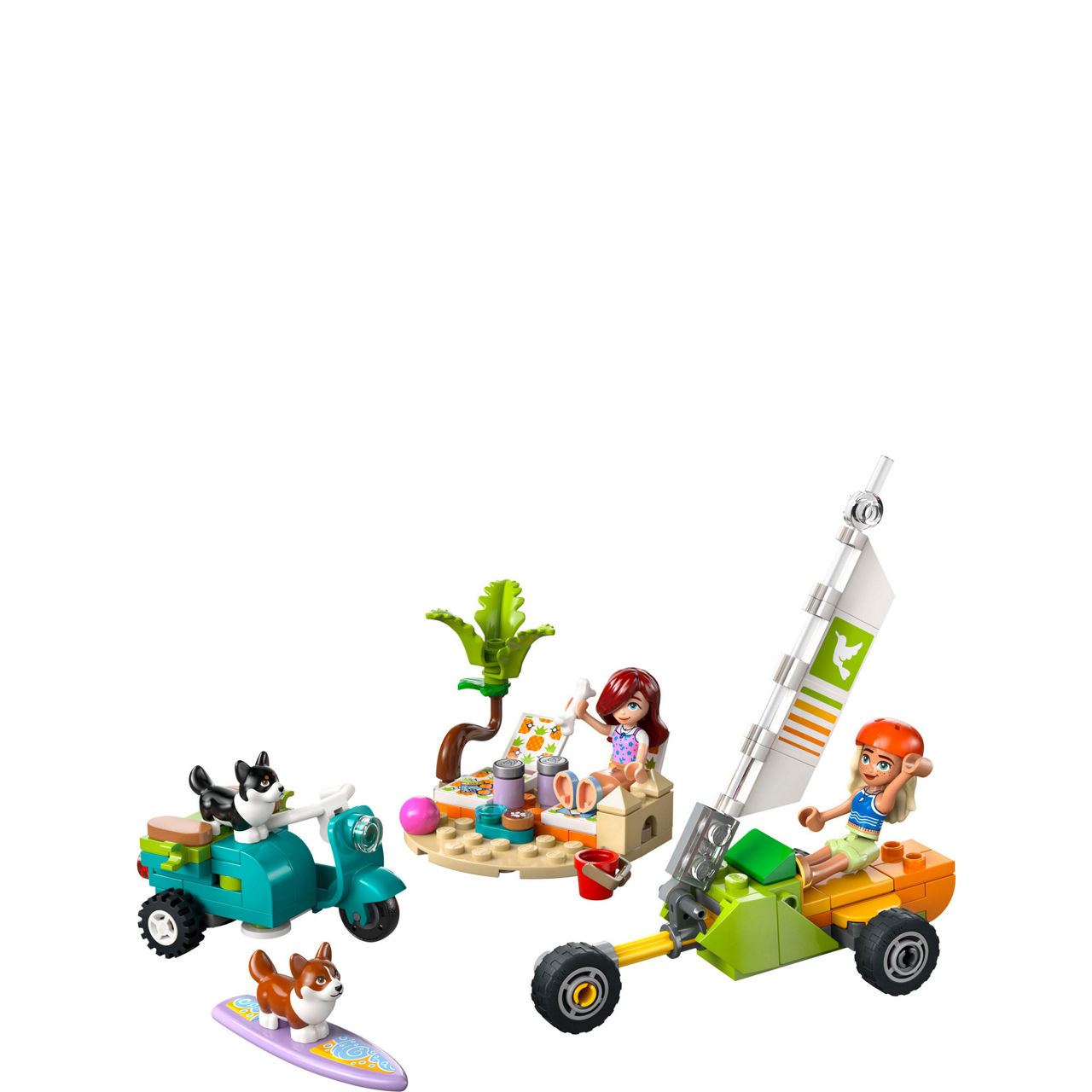 Friends Surfing Dogs and Scooter Adventure