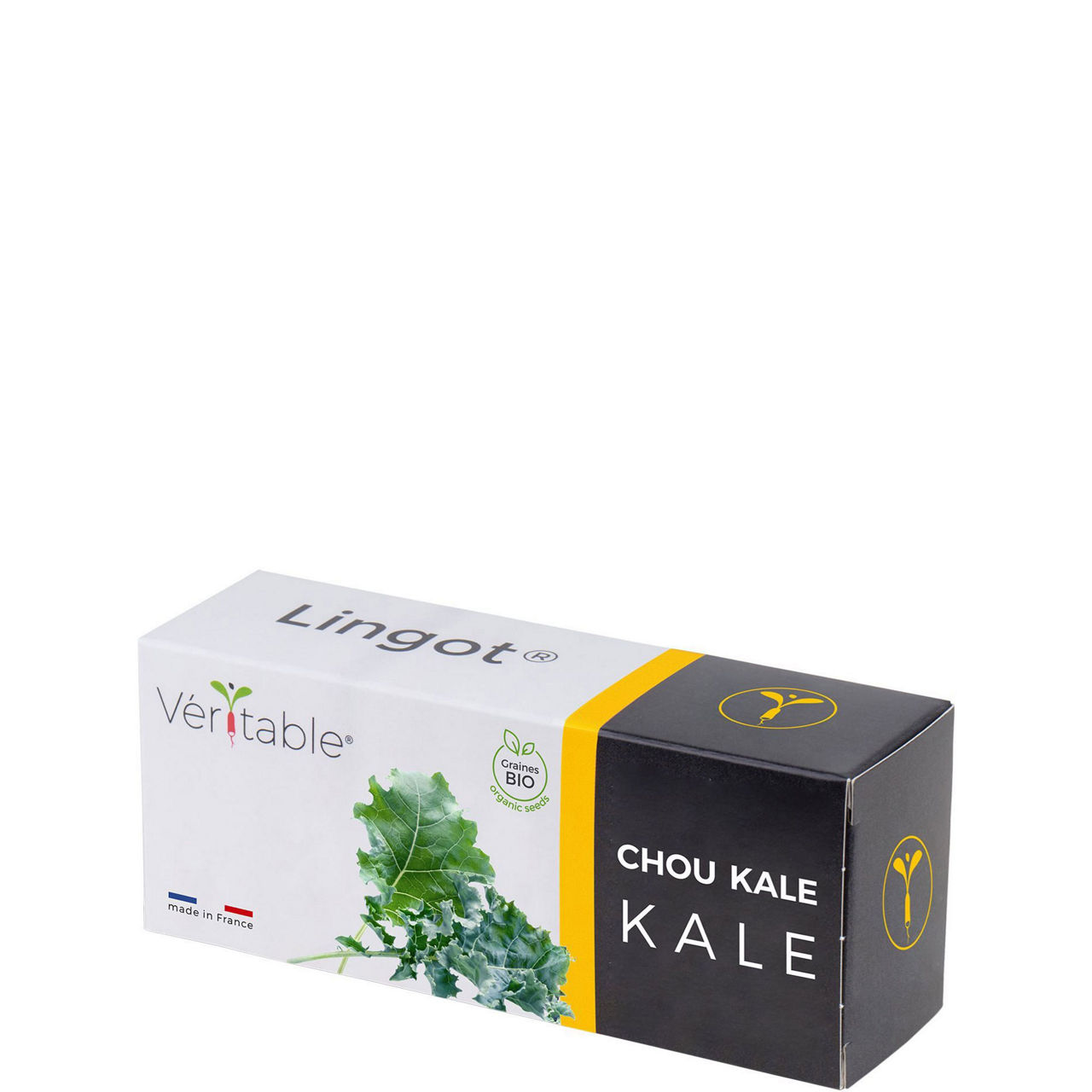 Lingot Kale Organic Seeds