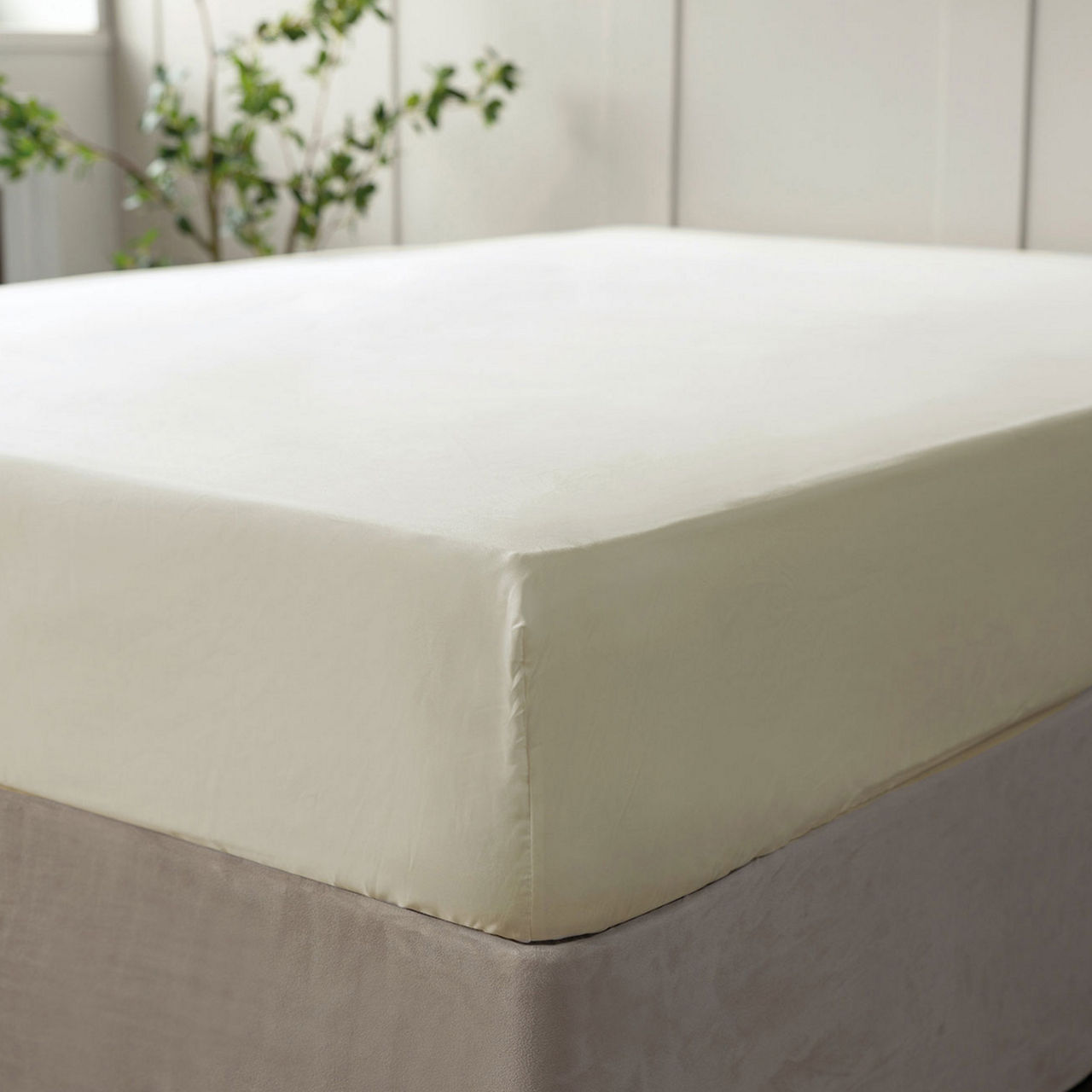 600 Thread Count Pure Egyptian Cotton Sateen Fitted Sheet Ivory