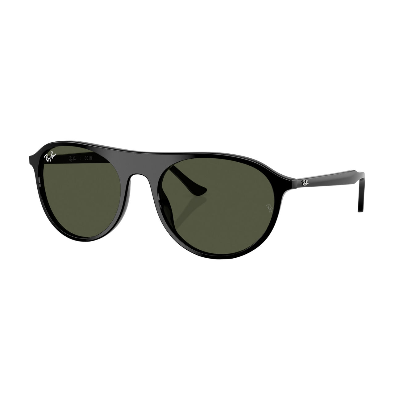 Square Sunglasses RB2215