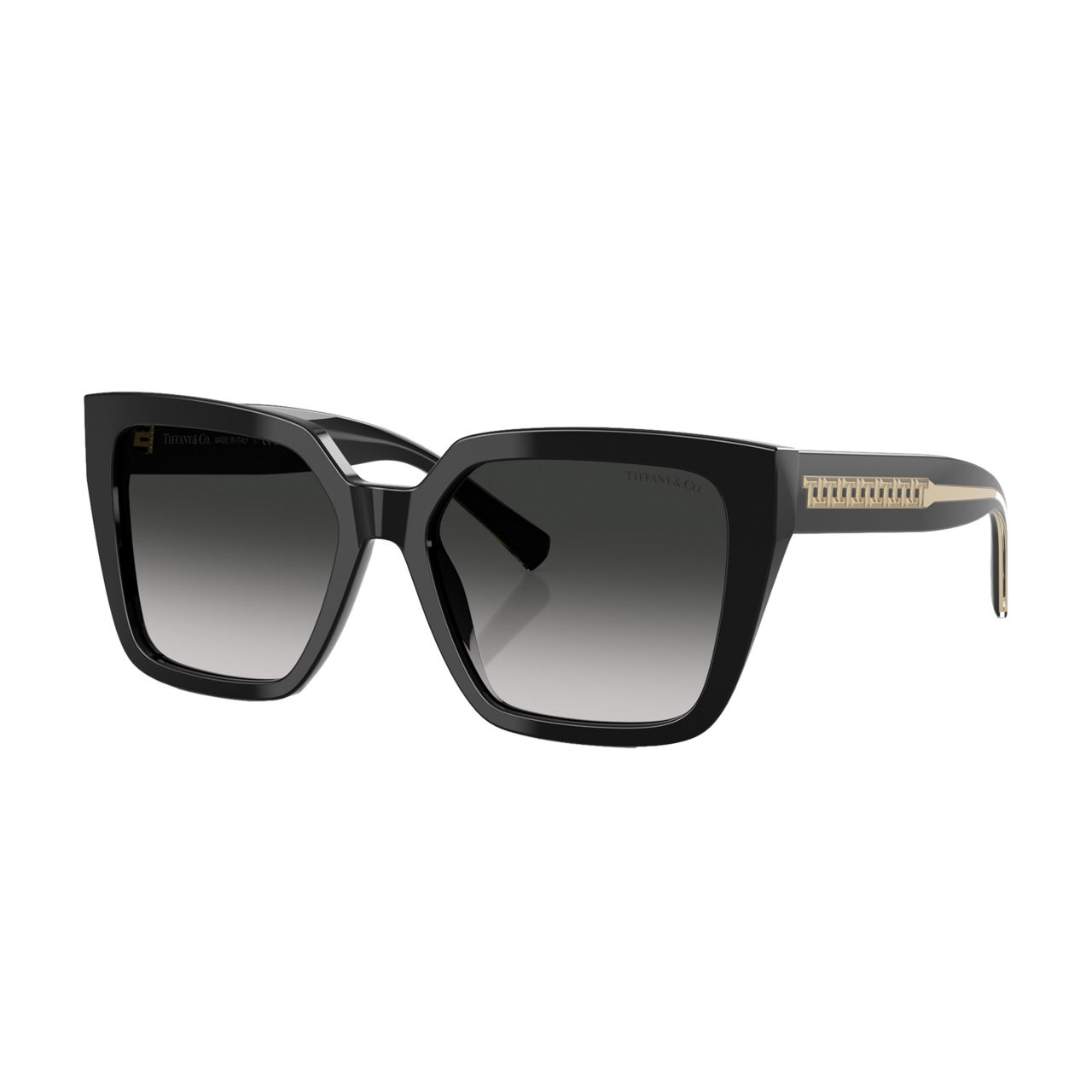 Square Sunglasses TF4235