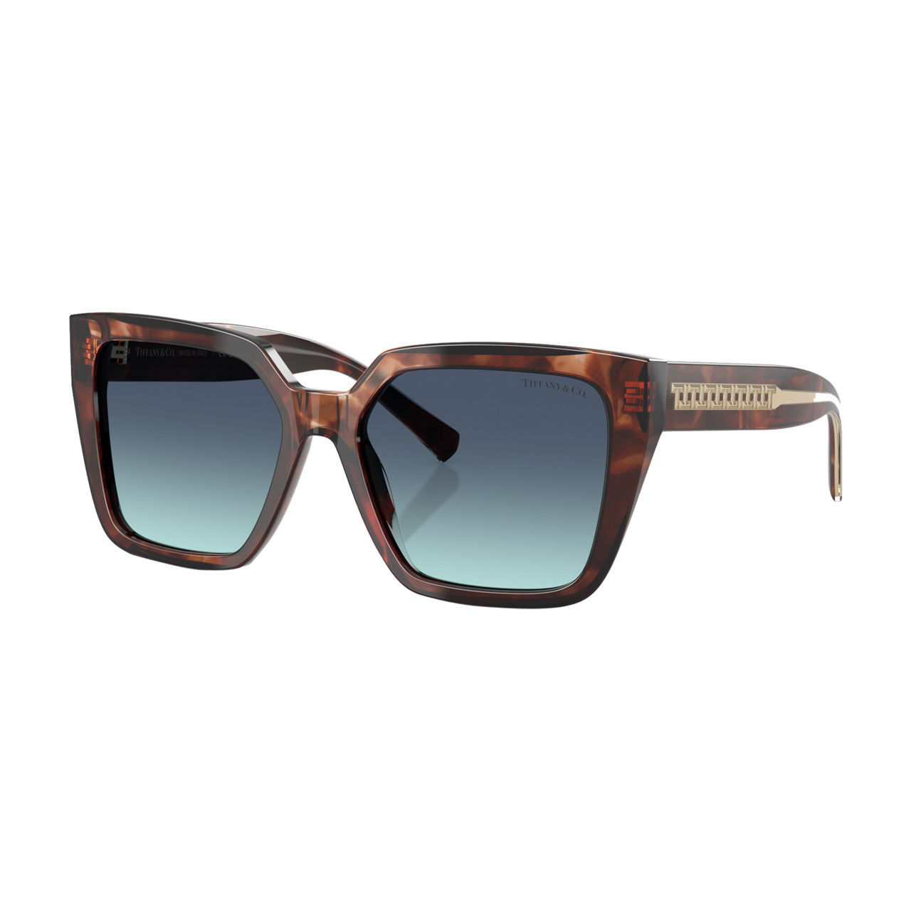 Square Sunglasses TF4235
