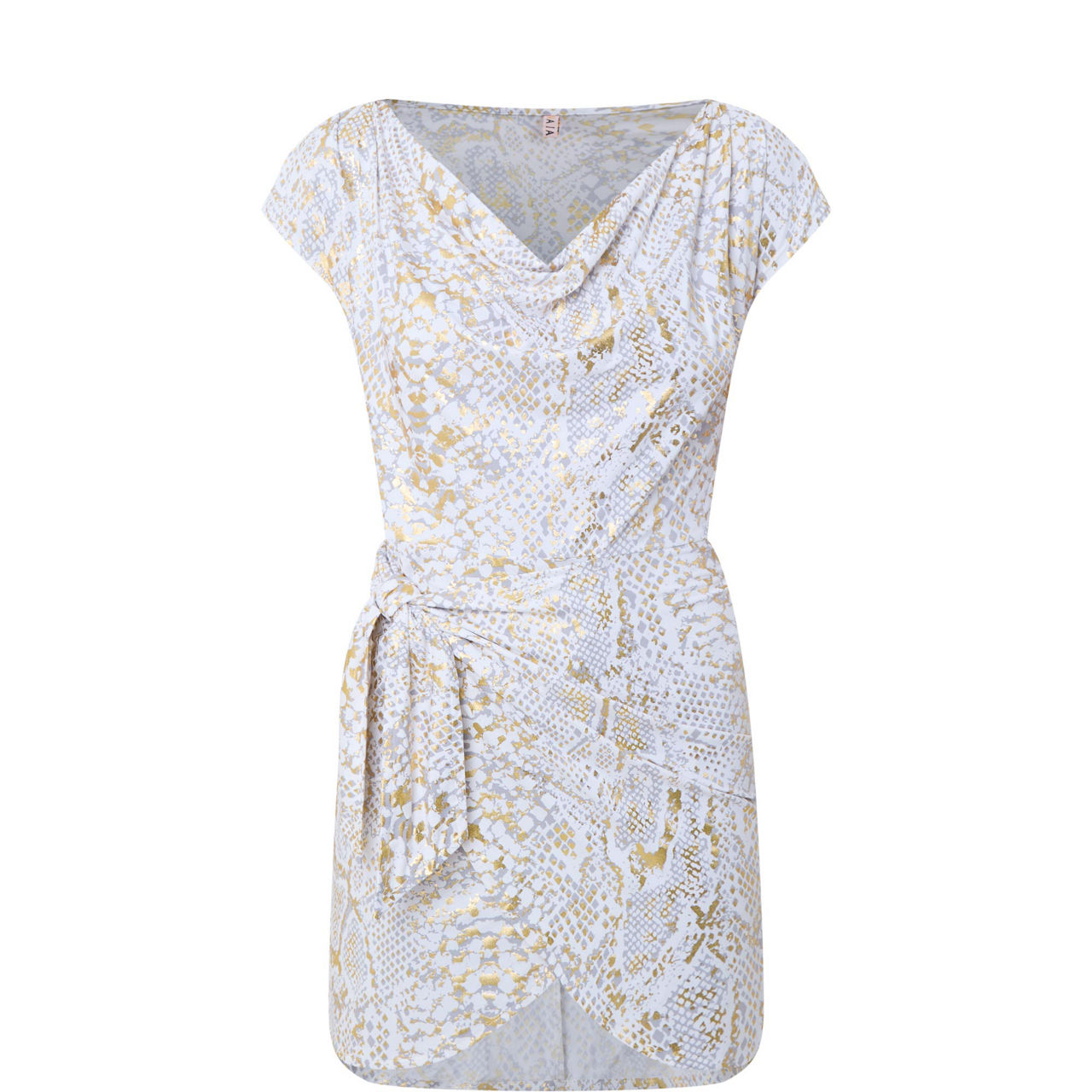 Naples Snake Print Mini Dress