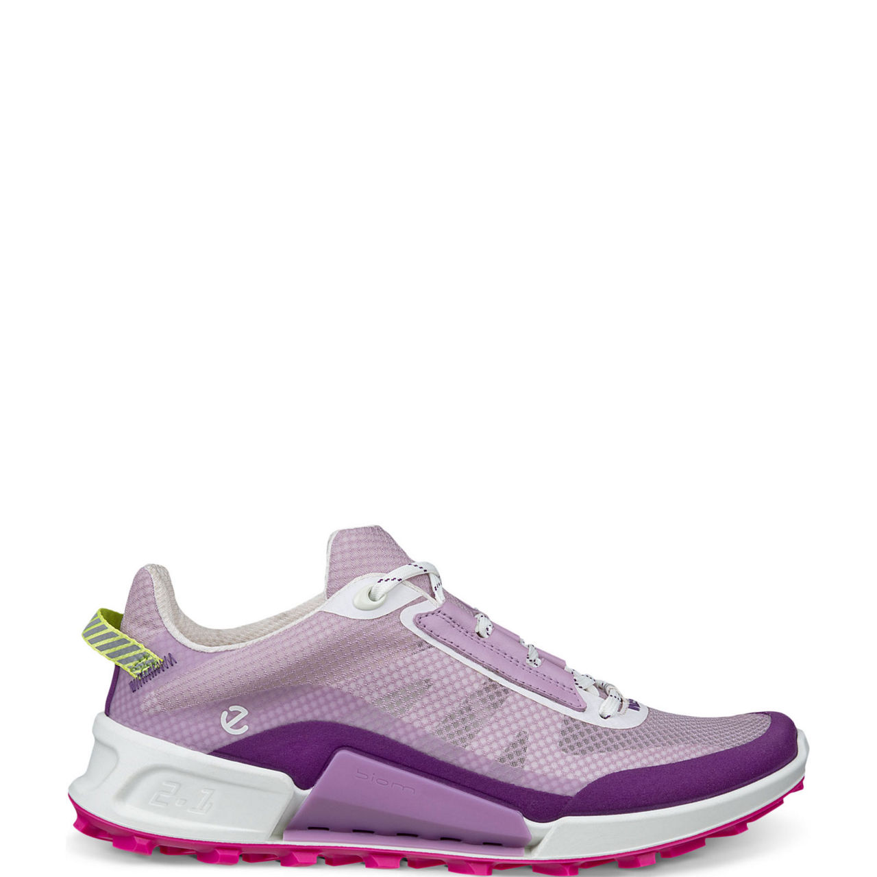 Biom 2.1 X Mountain Hiking Shoes