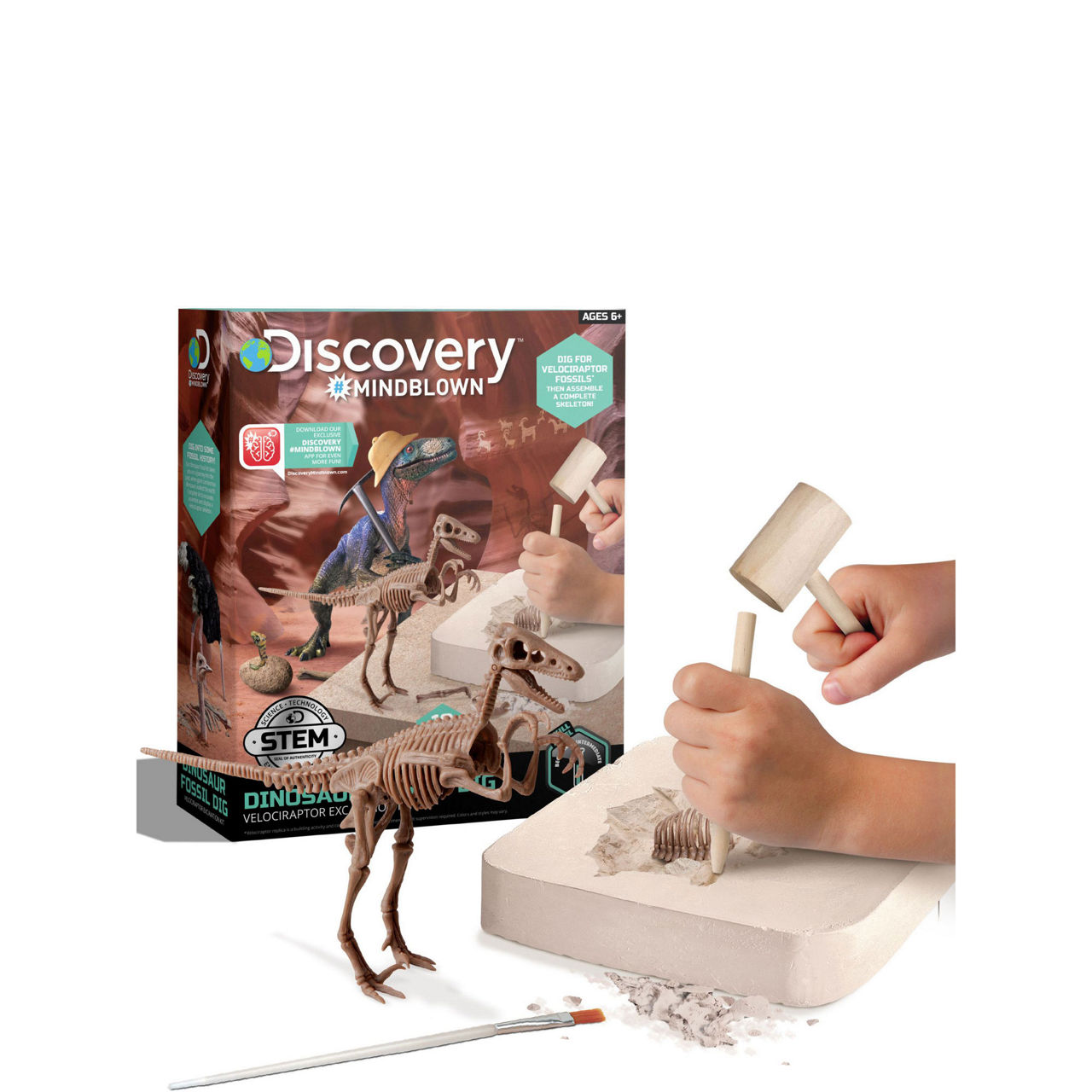 Discovery™ Mindblown Dinosaur Fossil Dig Excavation Kit