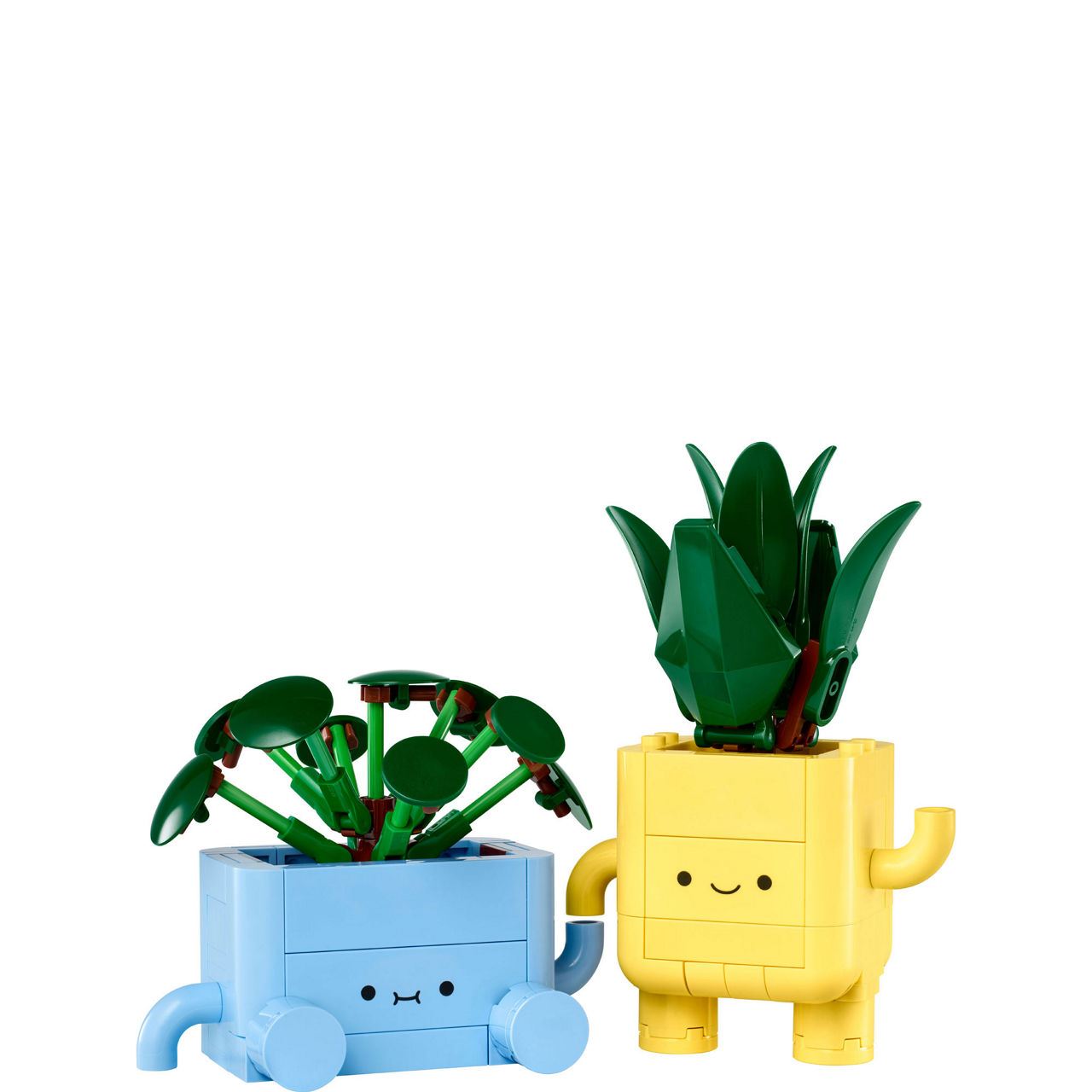 Botanicals Happy Plants Shelf Set