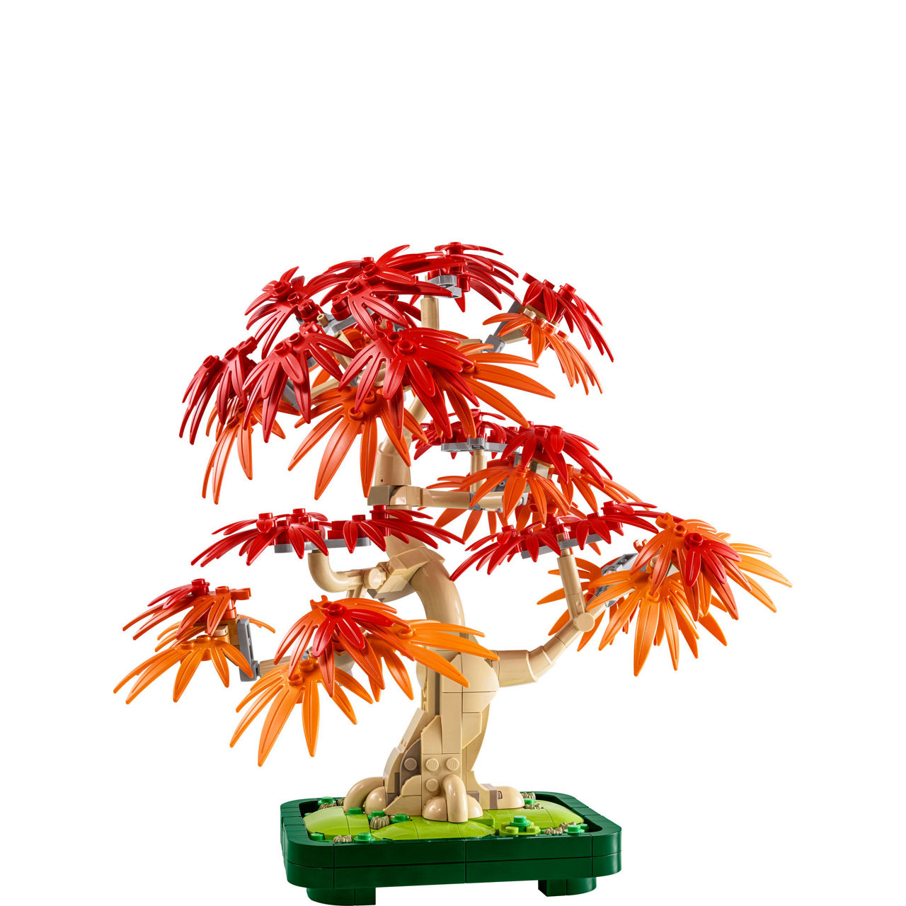 Botanicals Japanese Red Maple Bonsai Tree Plant Décor