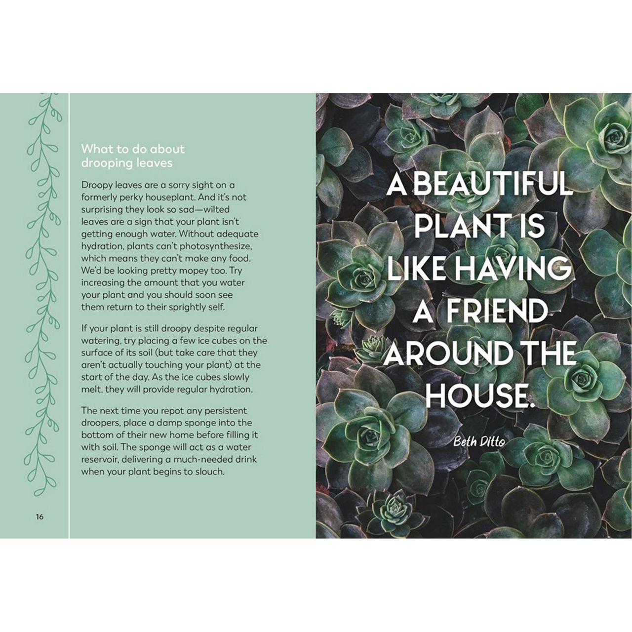 The Little Book for Plant Parents The Little Book for Plant Parents