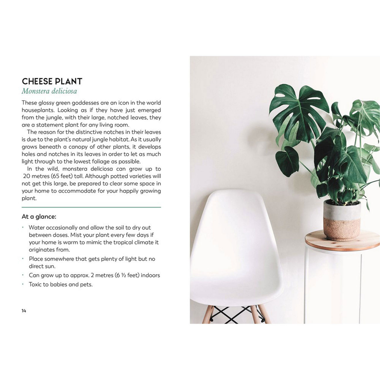 The Little Book for Plant Parents The Little Book for Plant Parents