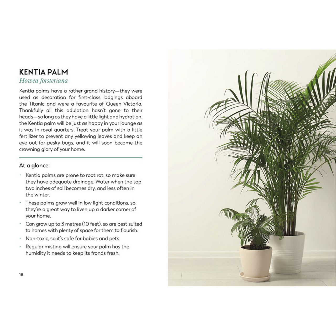 The Little Book for Plant Parents The Little Book for Plant Parents