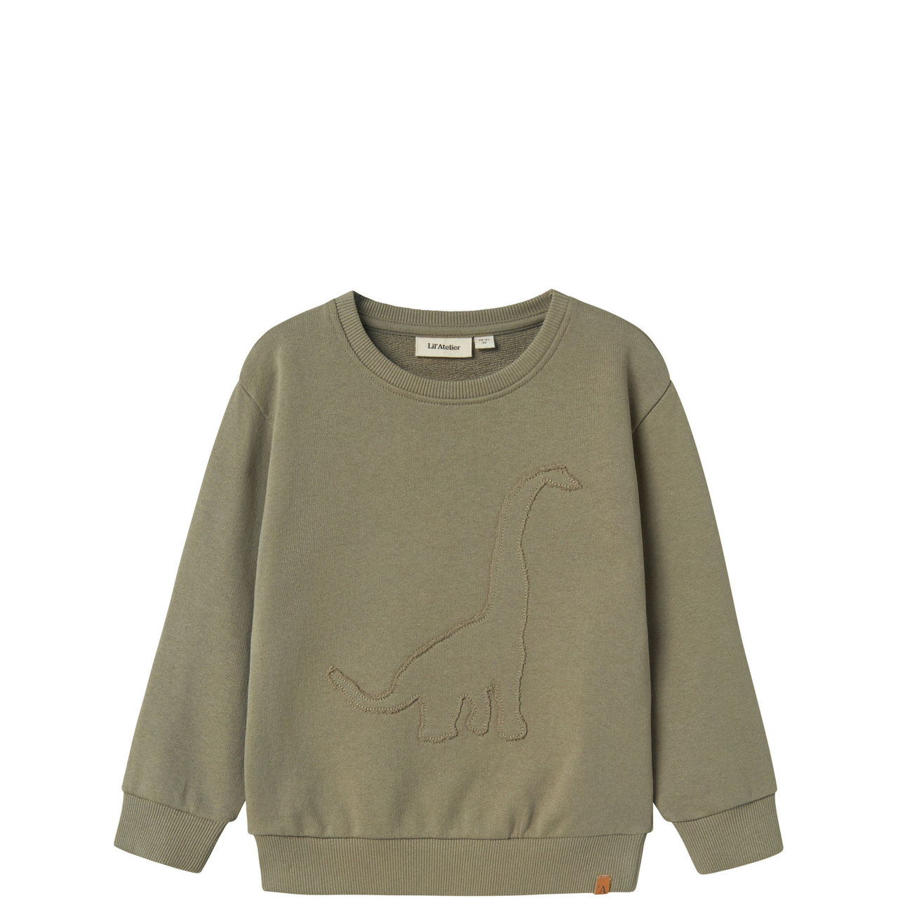 Dinosaur Sweatshirt