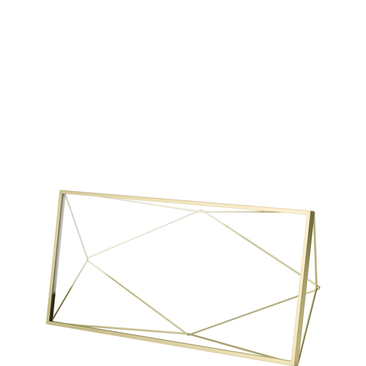 Prisma Picture Frame 48 x 23