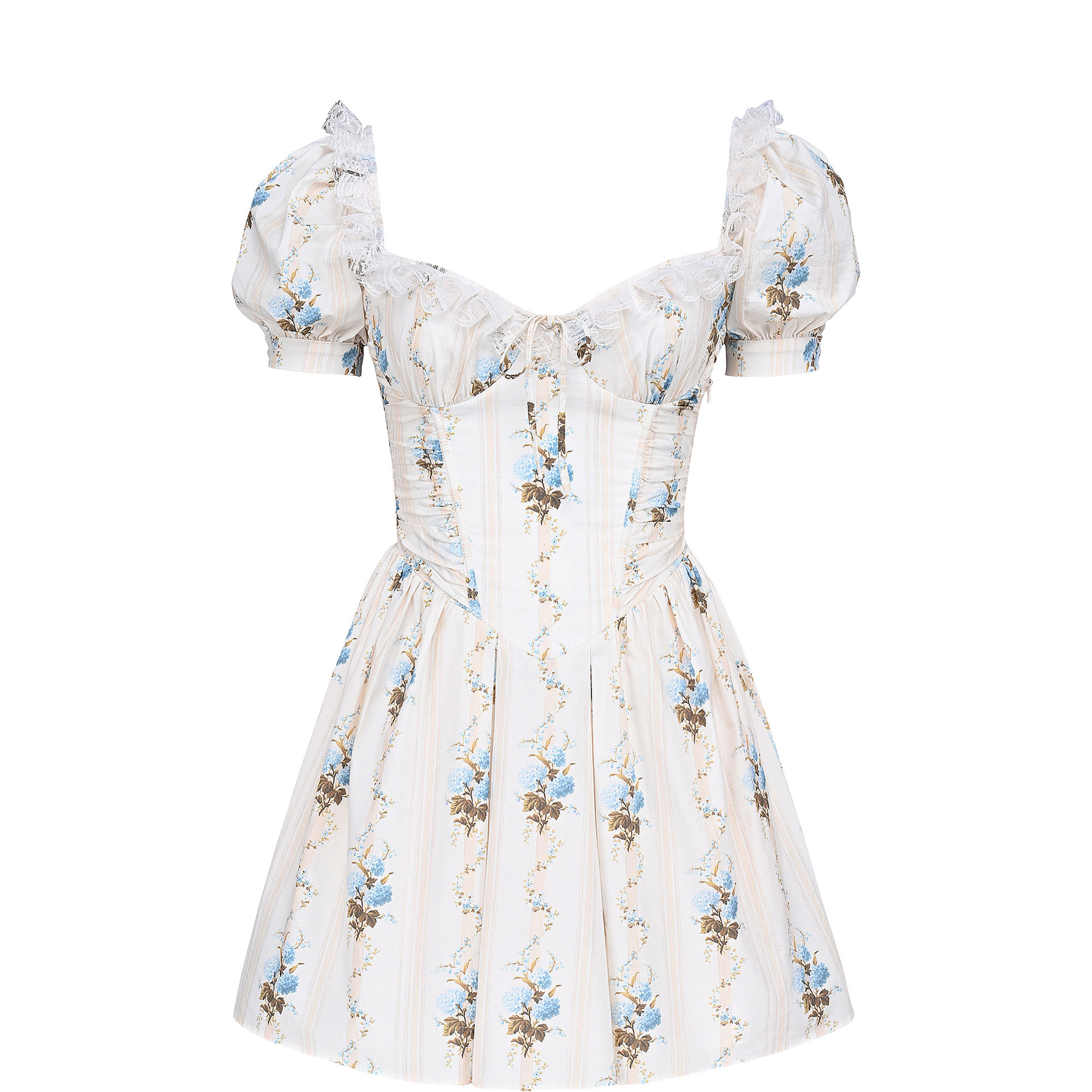 Issa Floral Corset Mini Dress