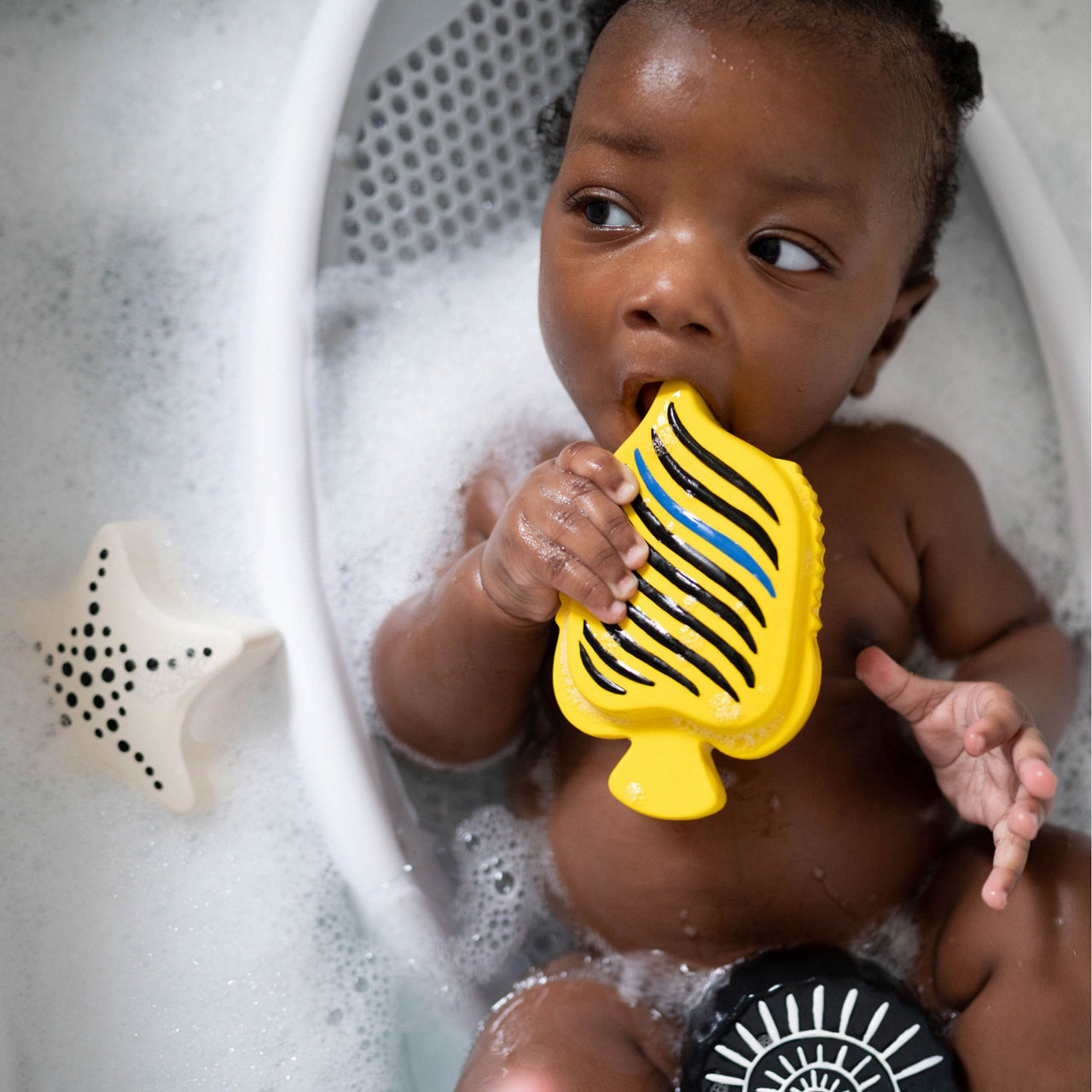 Animal Bath Toys Three-Pack Animal Bath Toys Three-Pack