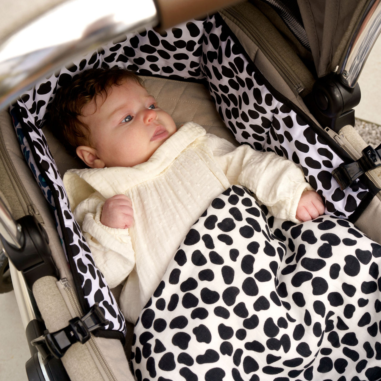 Animal Print Reversible Sensory Strip Animal Print Reversible Sensory Strip