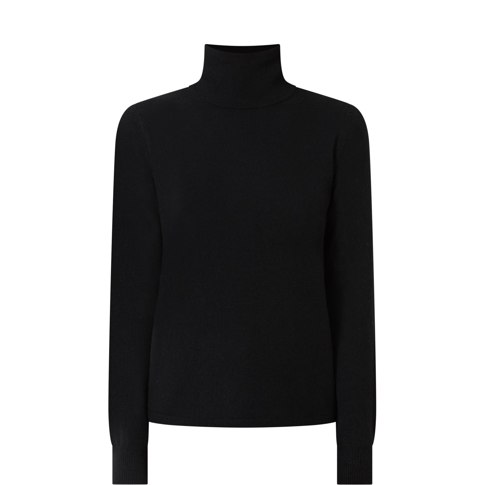 Educata Turtleneck Fine-Knit Sweater