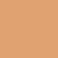 Beauty Skin Tint
