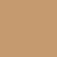 Beauty Skin Tint