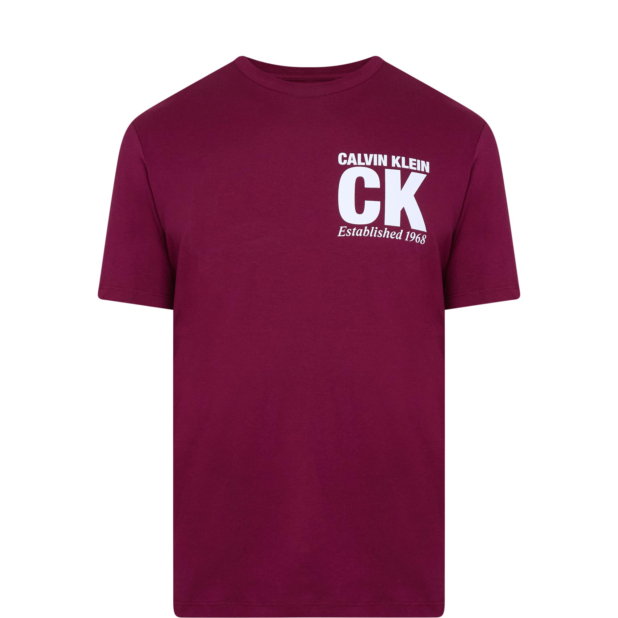 CK Graphic Logo T-Shirt