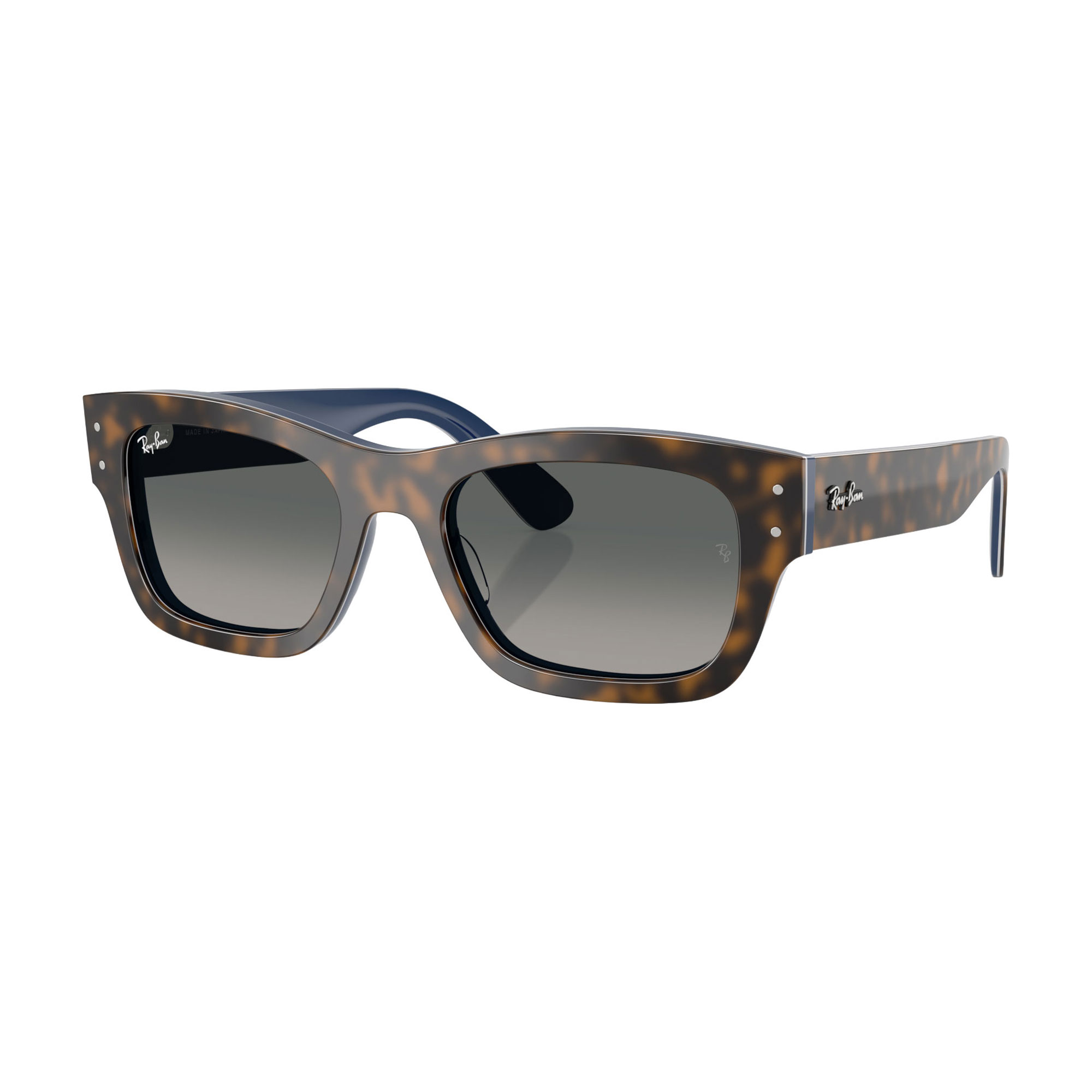 Rectangle Sunglasses RB7683S