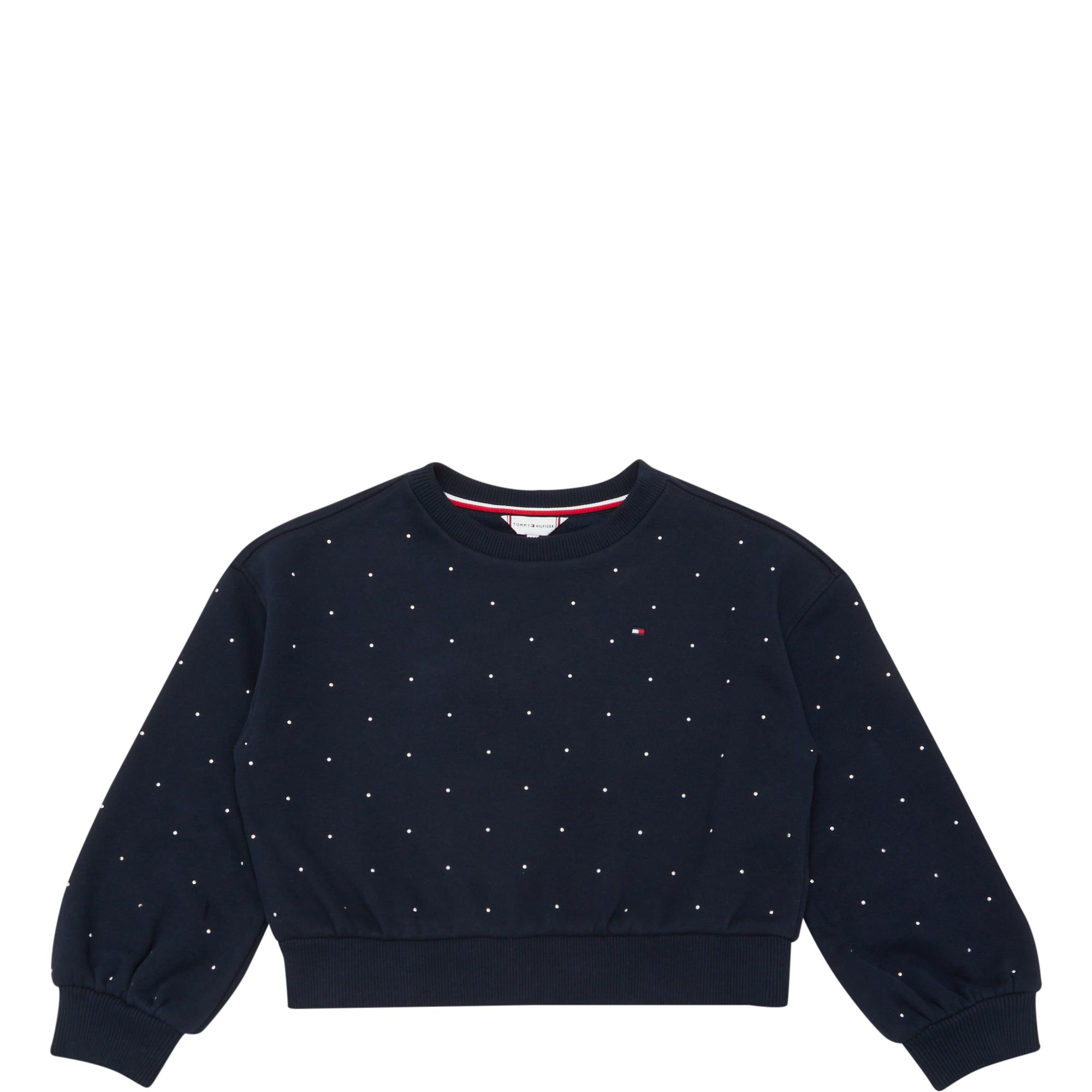 Flag Logo Studded Sweatshirt