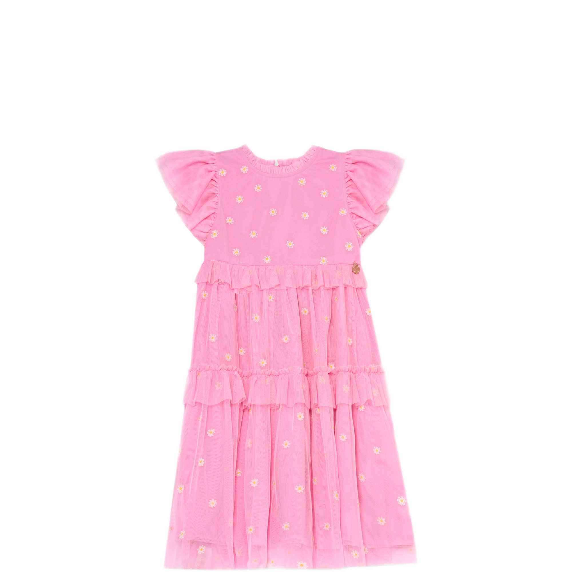 Luisa Embroidered Mesh Dress