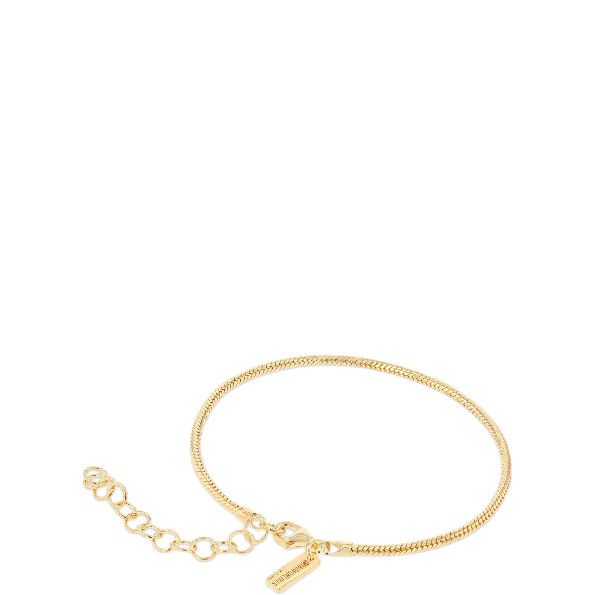 Snake Chain Bracelet
