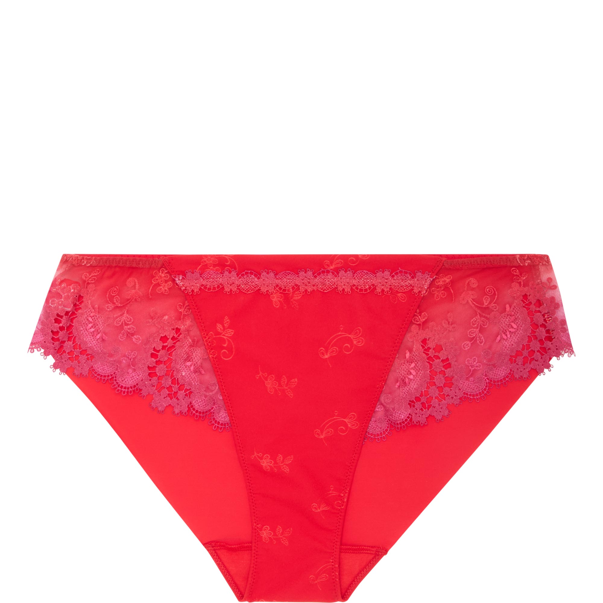 Wish Floral Embroidered Briefs