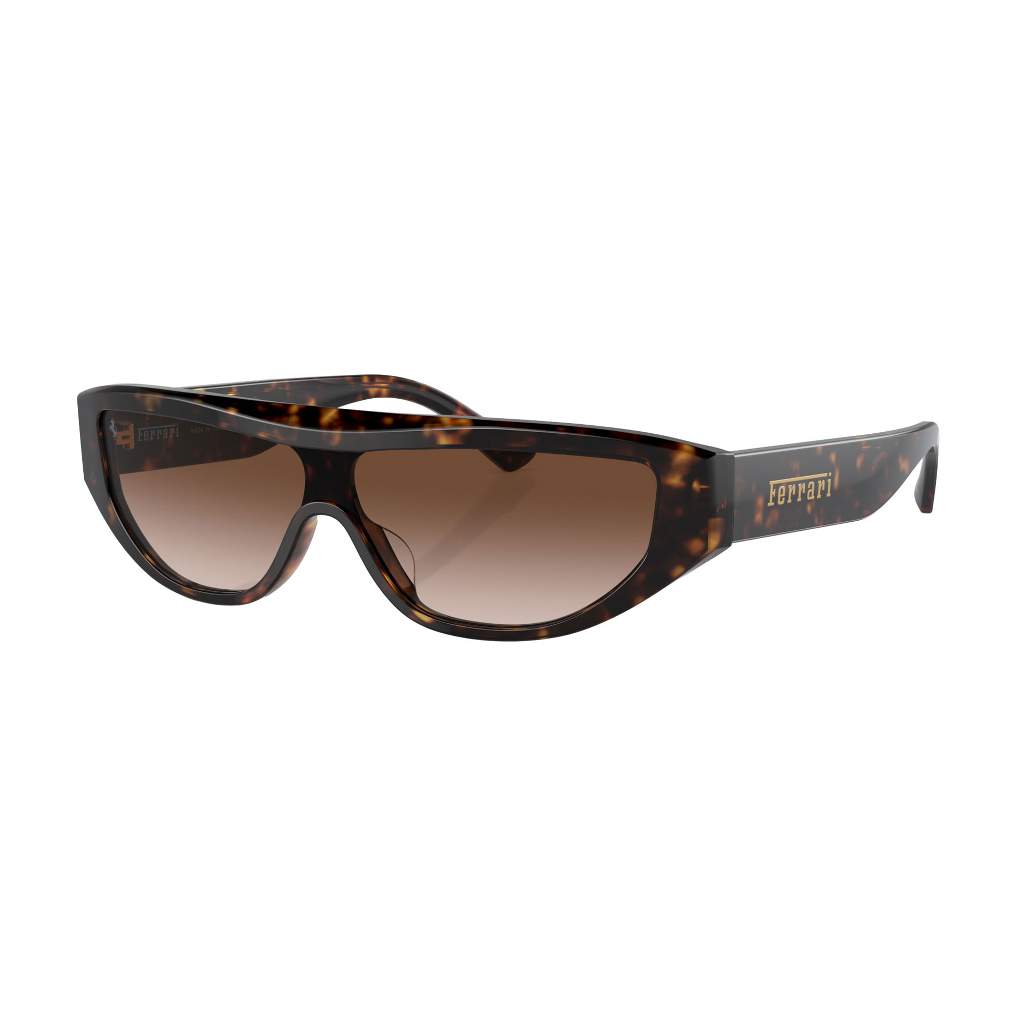 Rectangle Sunglasses FH2004U