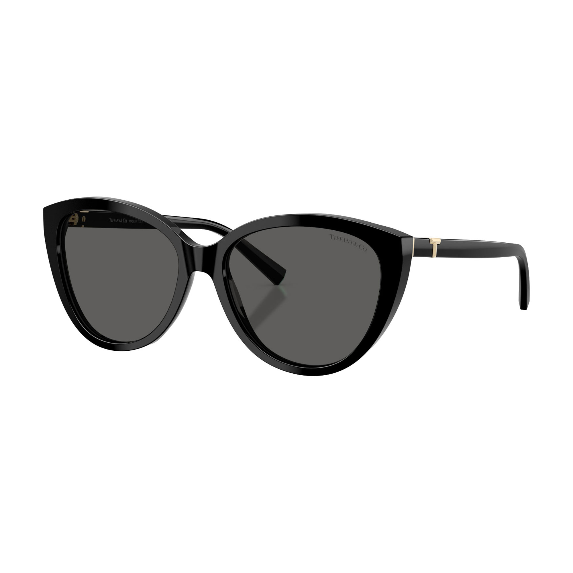Cat Eye Sunglasses TF4251