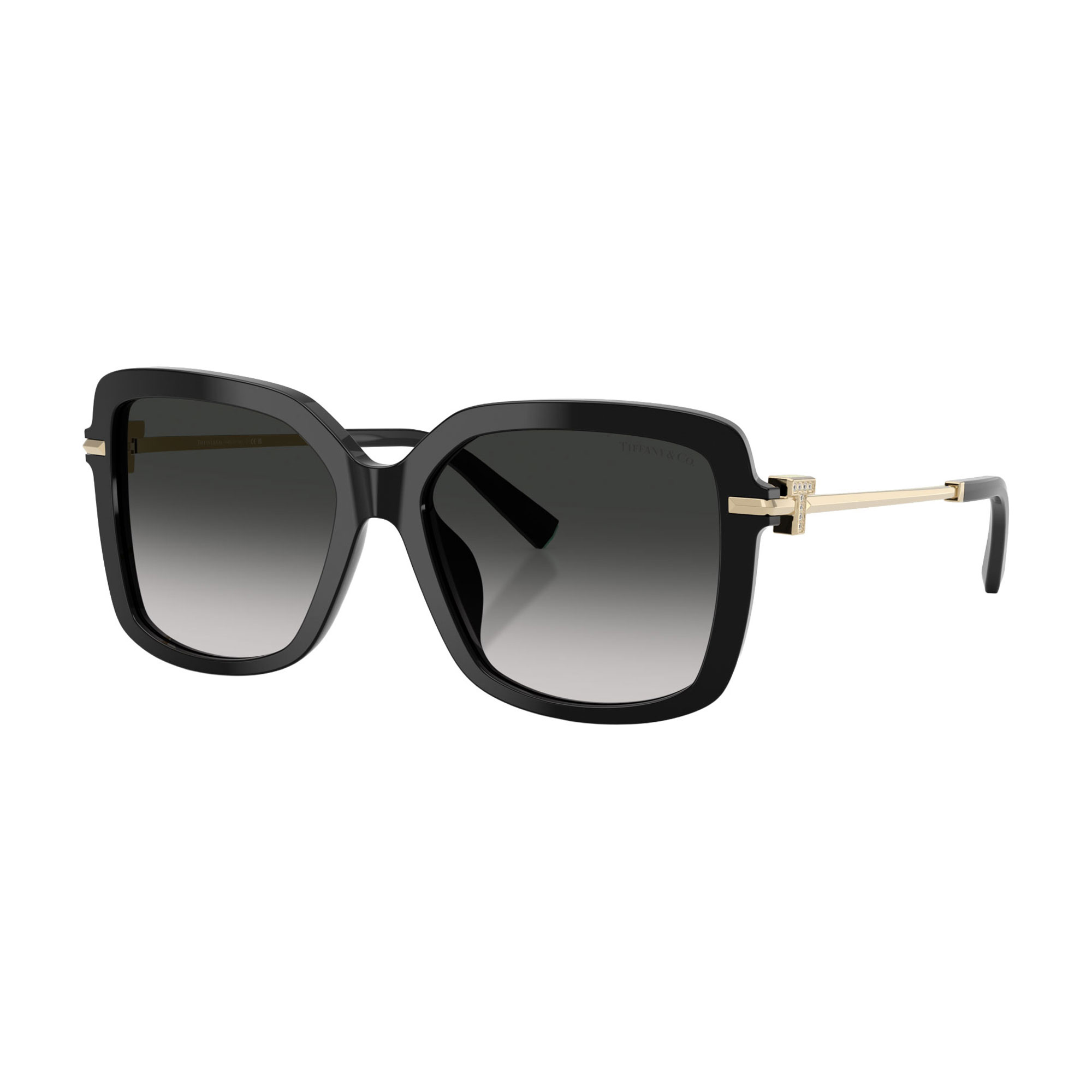 Square Sunglasses TF4252B