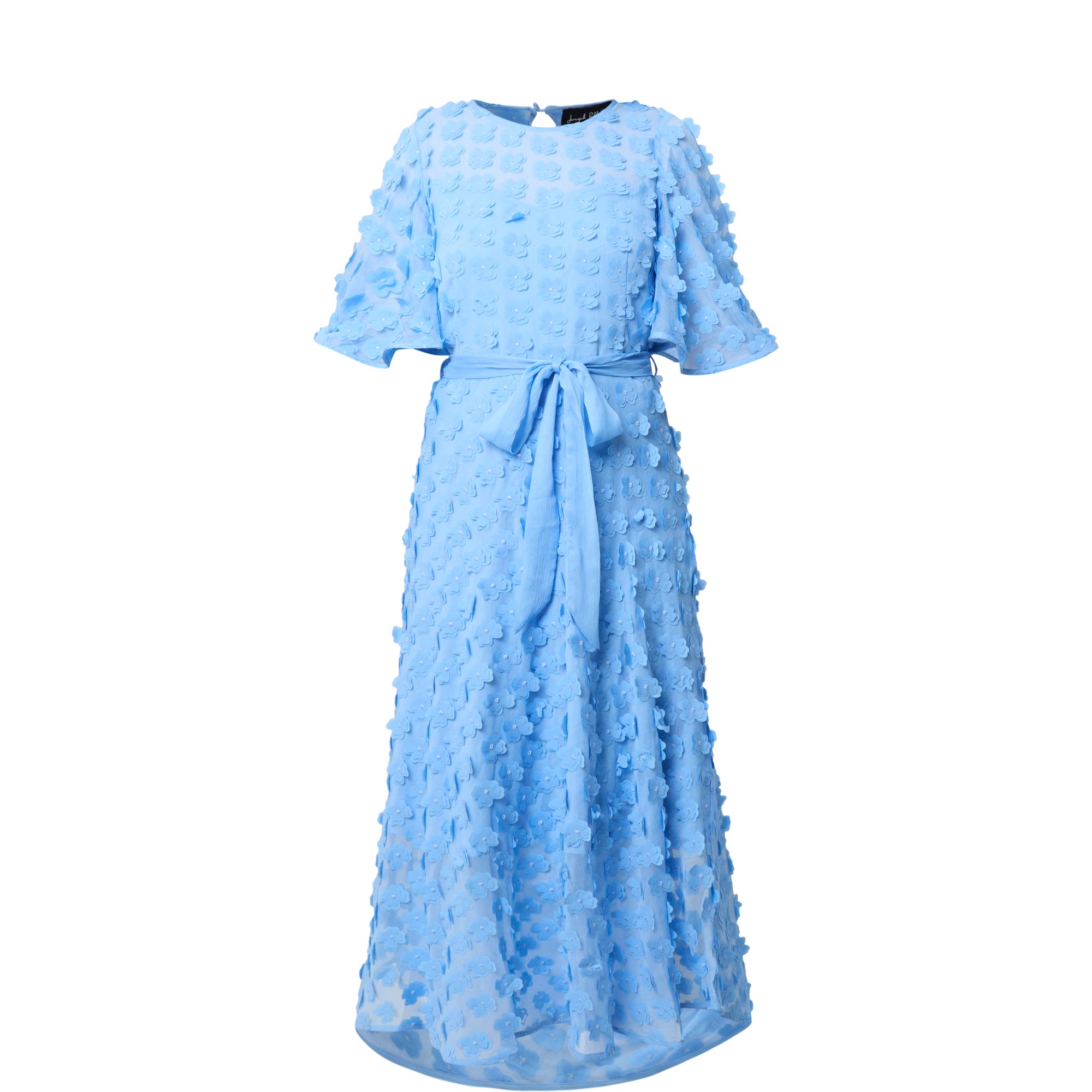 Flower Appliqu&eacute; Tie-Fastening Flared Dress