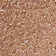 Dazzle Glitter Liquid Eye Shadow