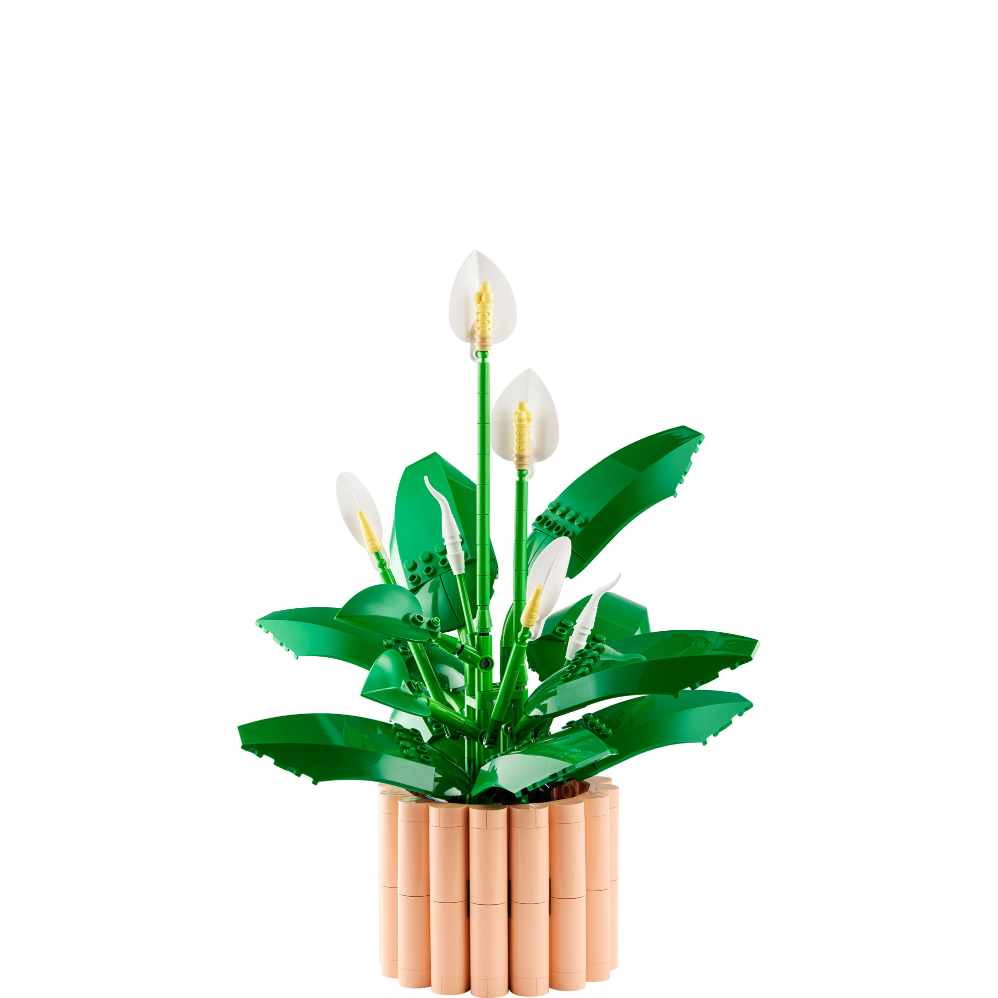 Botanicals Peace Lily Flower D&eacute;cor Set