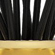 No Colour