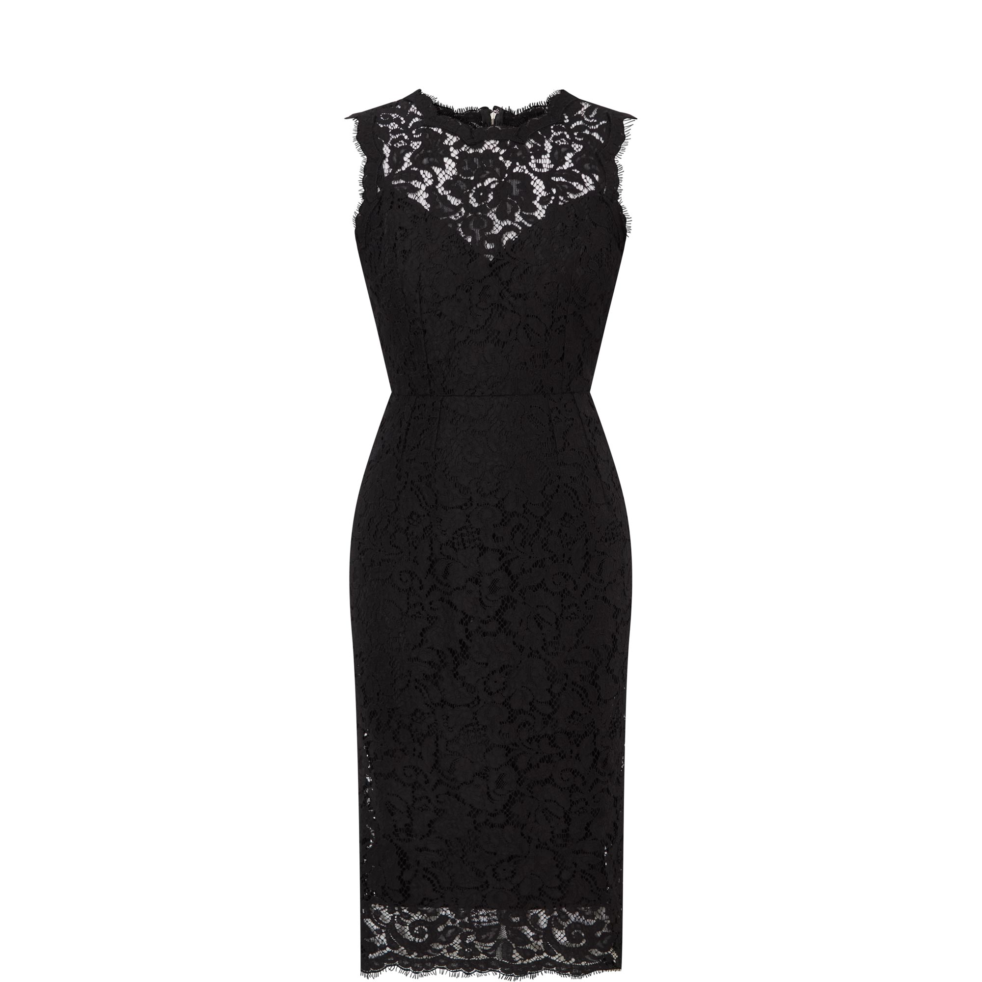 Floral Lace Fitted Dress