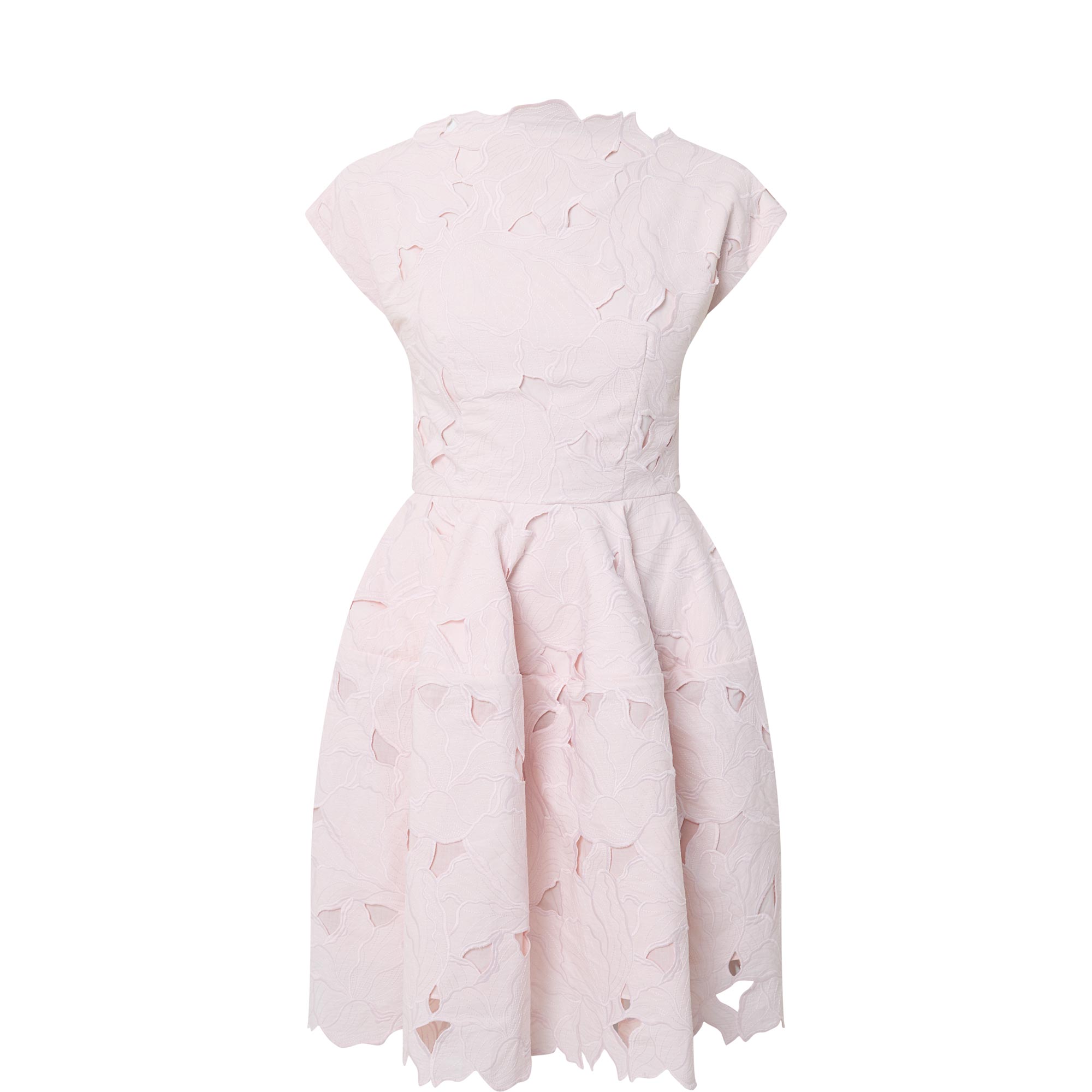 Floral Cutwork Mini Dress