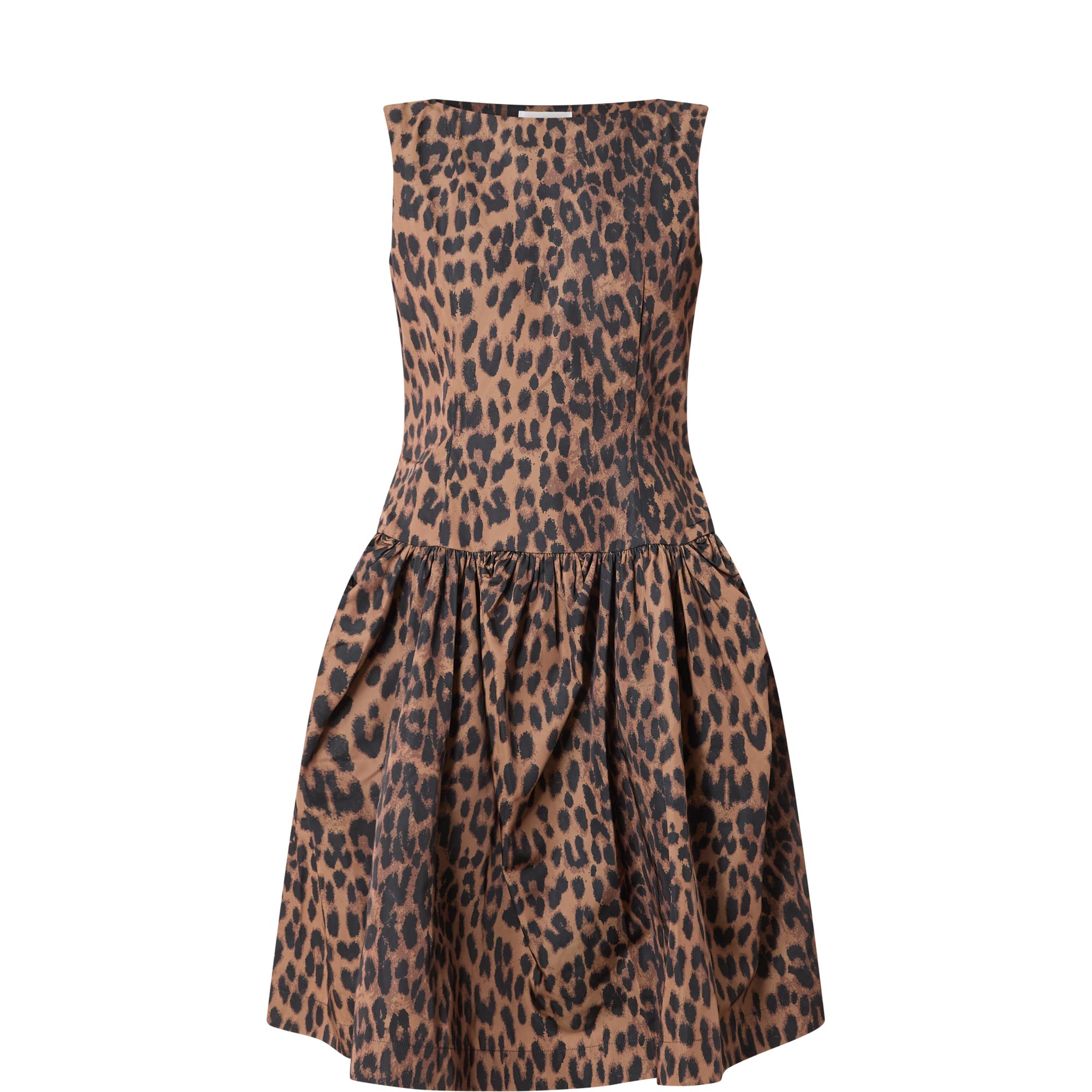 Aneva Leopard Mini Dress