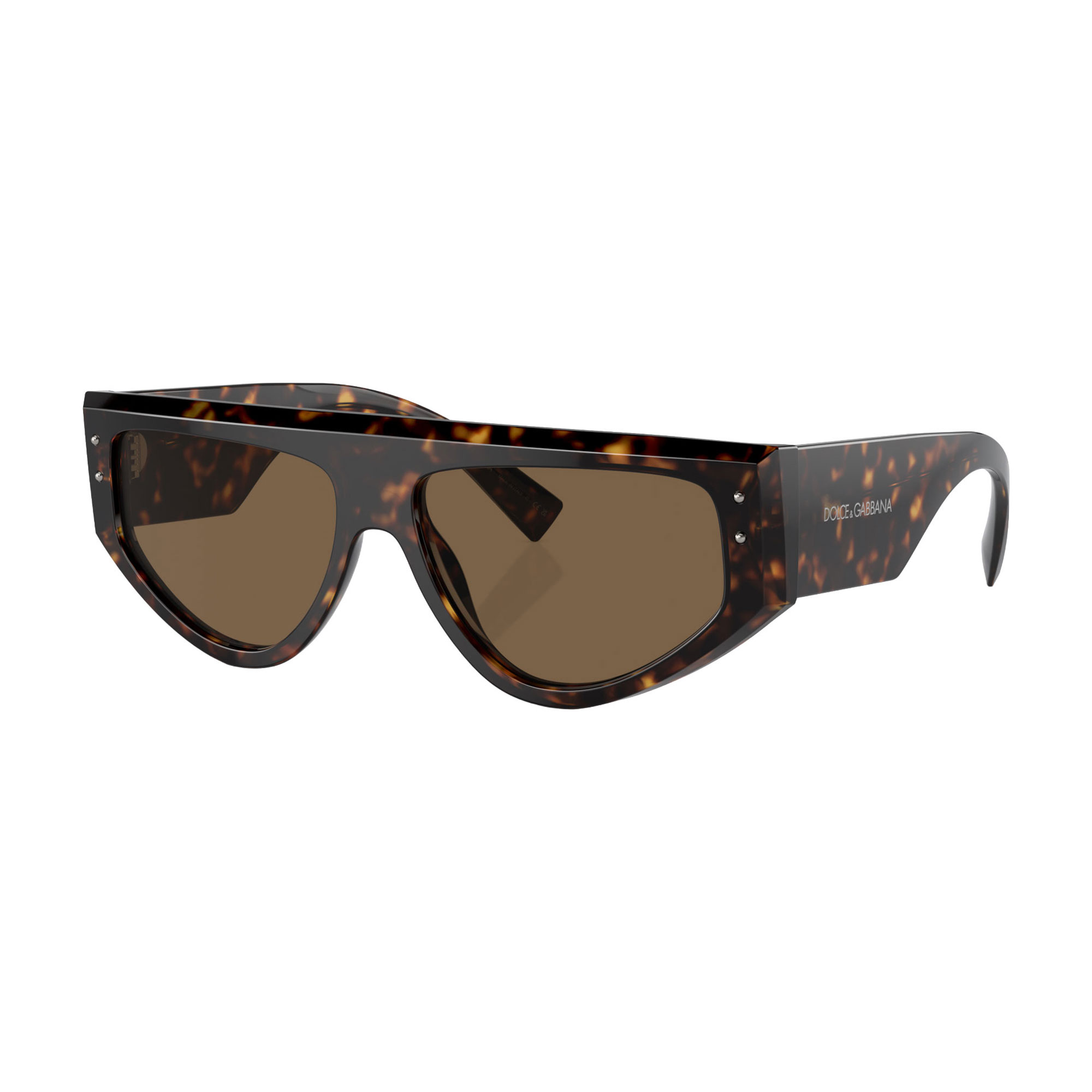 Rectangle Sunglasses DG4461